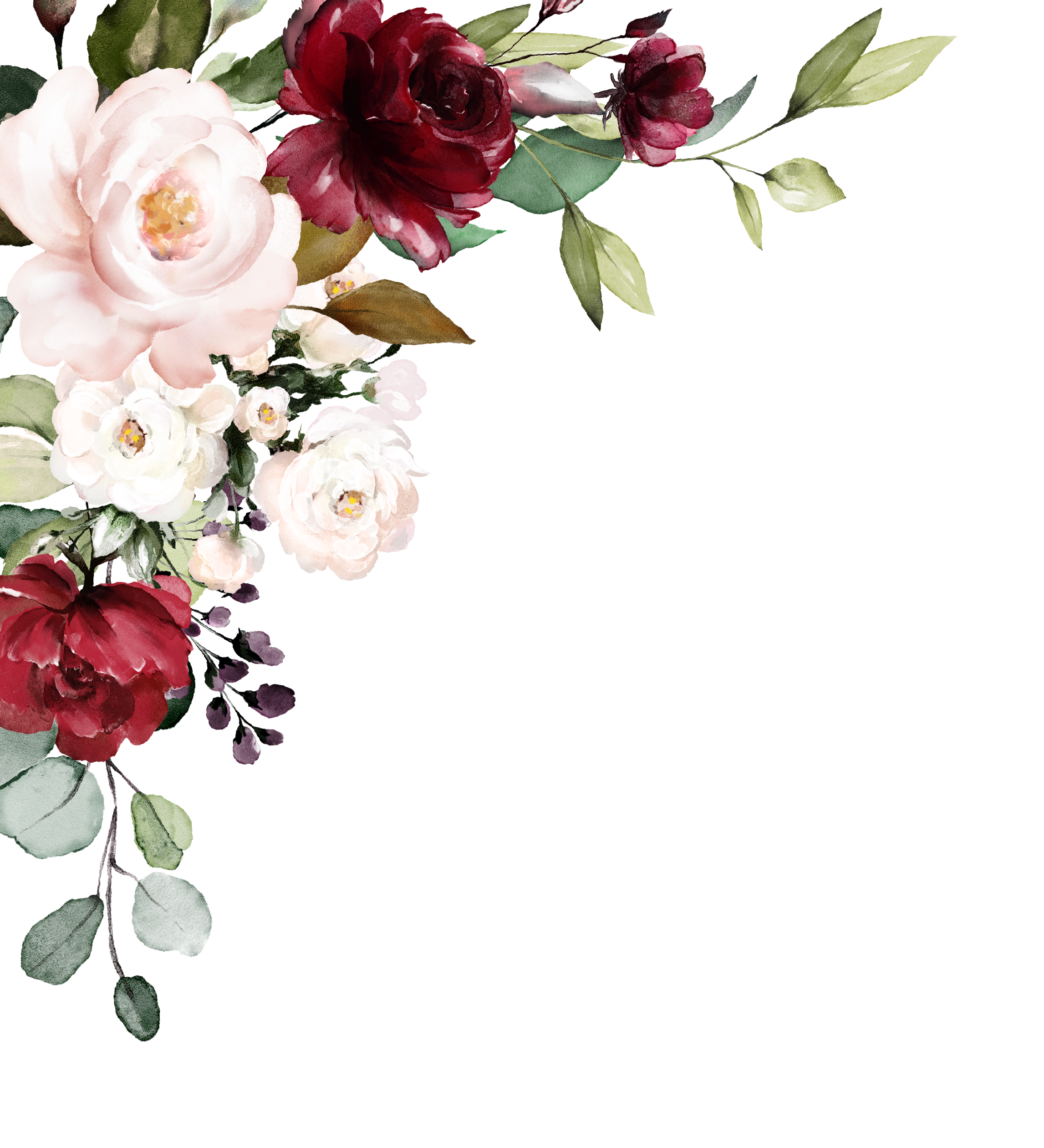 A decorative bouquet of watercolor roses, with large white, pink, and deep red flowers, surrounded by green leaves.