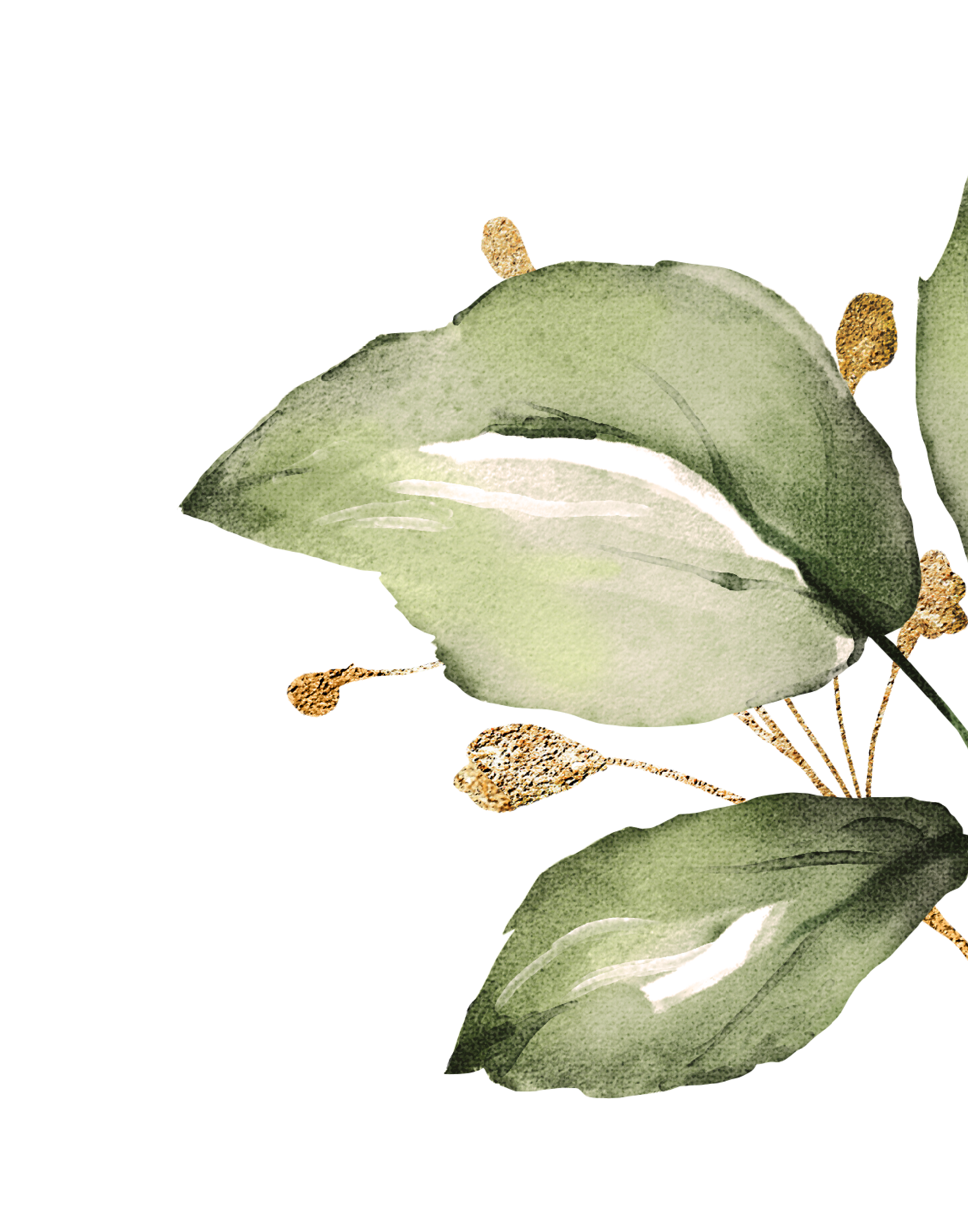 Watercolor illustration of two green leaves with textured details and white highlights.