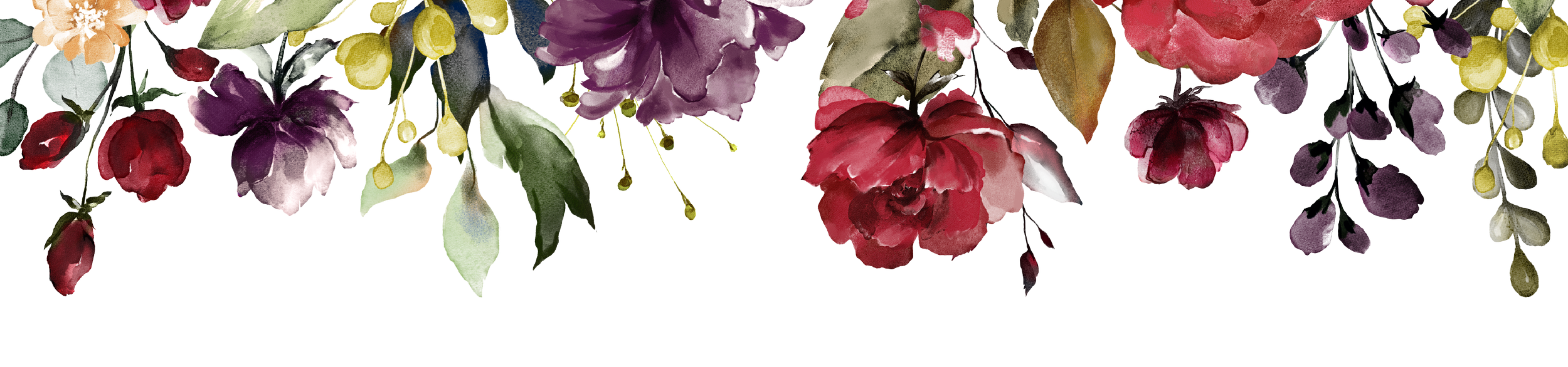 Watercolor illustration of various flowers and leaves in shades of red, purple, pink, green, and yellow.