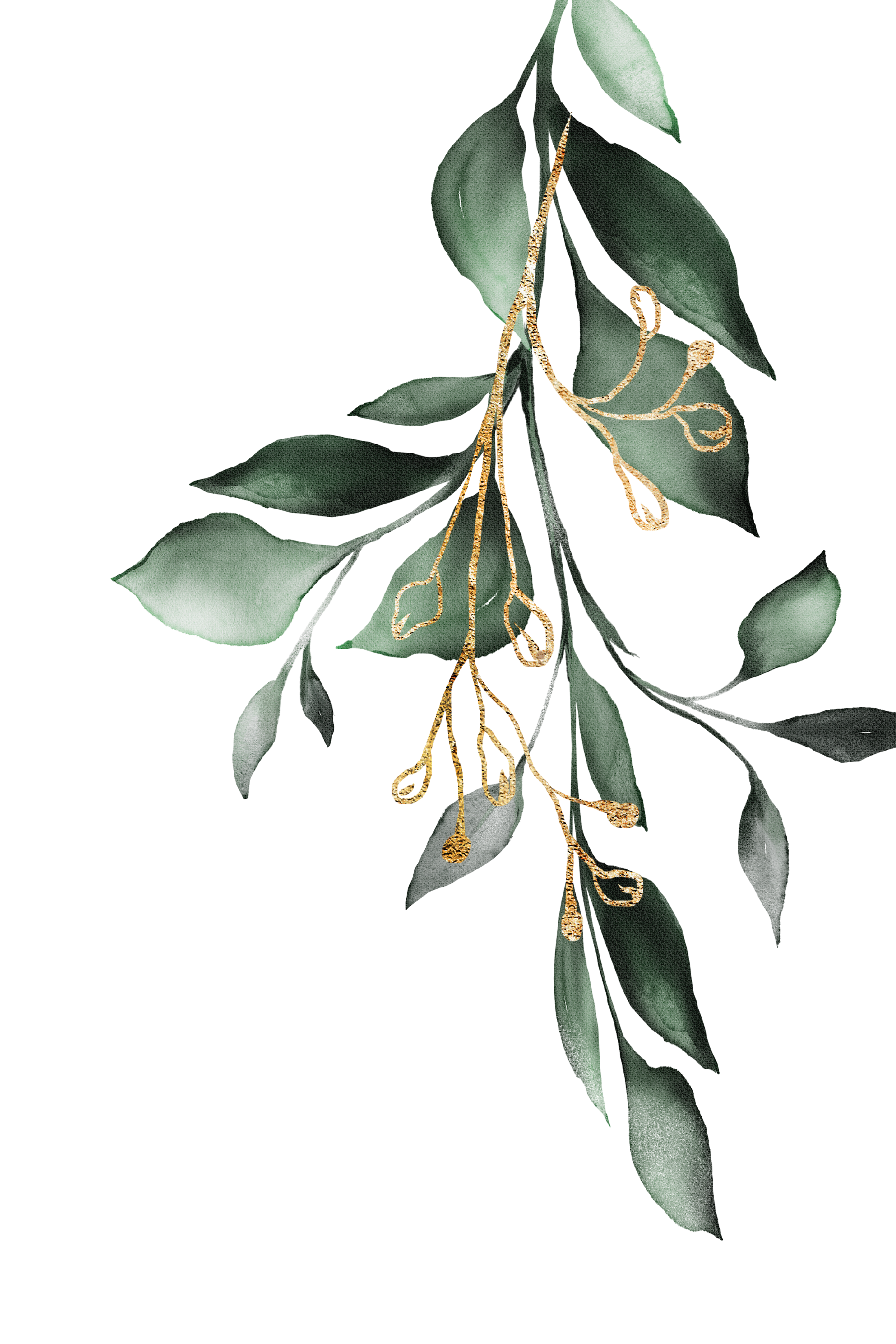 A decorative botanical illustration featuring green leaves and gold accents.