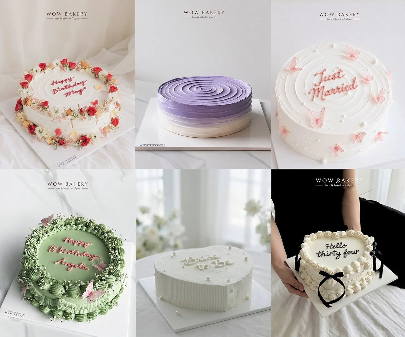 WOW Bakery Special Cake Collection
