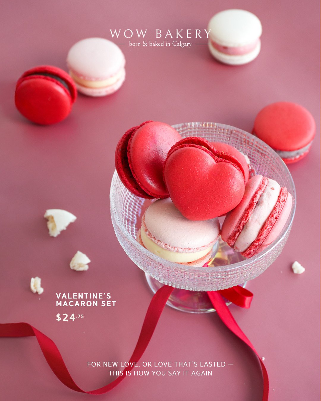 WOW BAKERY VALENTINE'S MACARON SET