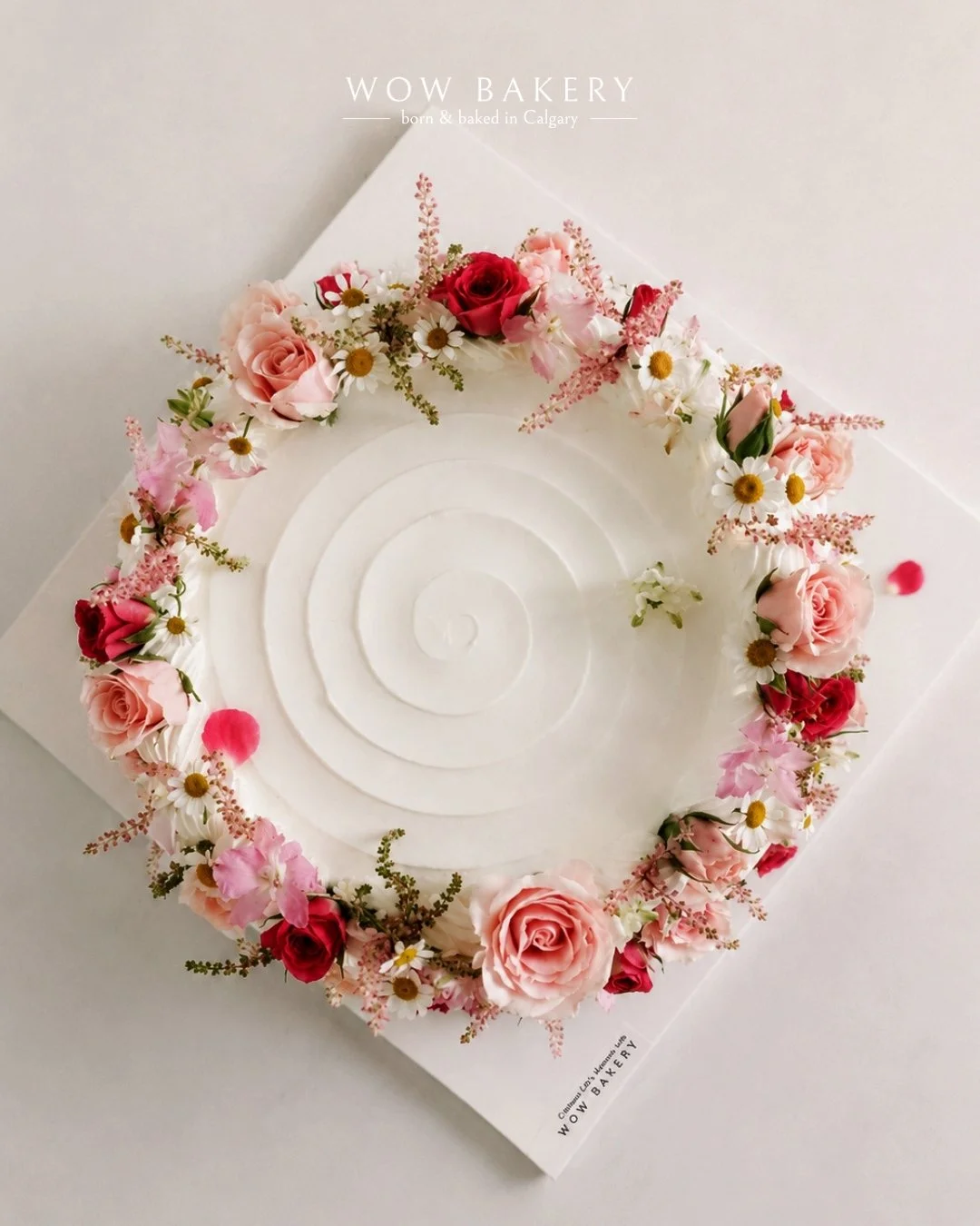 wow_bakery_special_cake_calgary_cake_bakery_dessert5.jpg