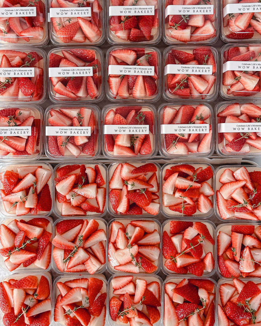 WOW BAKERY_catering_5.png