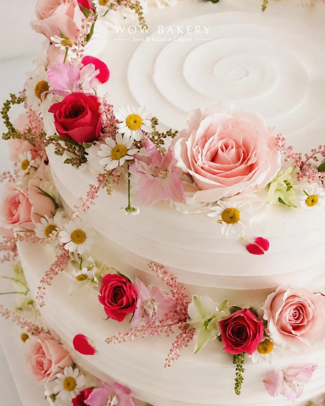 wow_bakery_special_cake_calgary_cake_bakery_dessert6.jpg