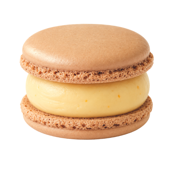 Salted Caramel Macaron