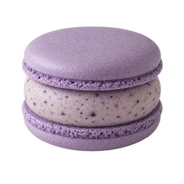 Blueberry Macaron
