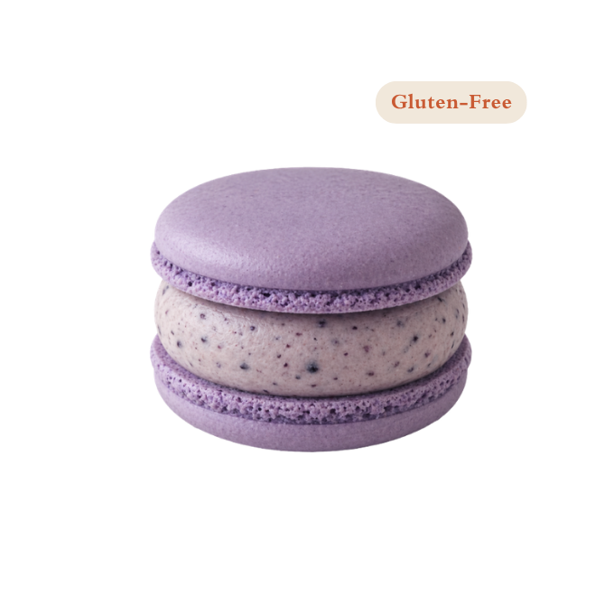 Blueberry Macaron