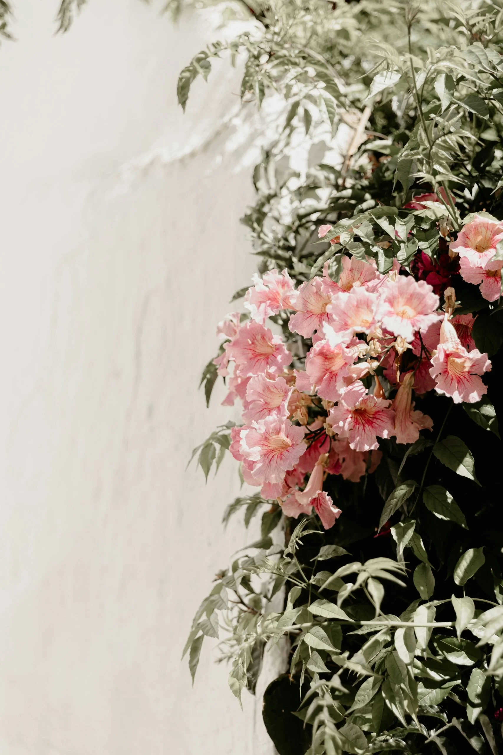 Copywriting tips for trauma-informed therapists: do this, not that