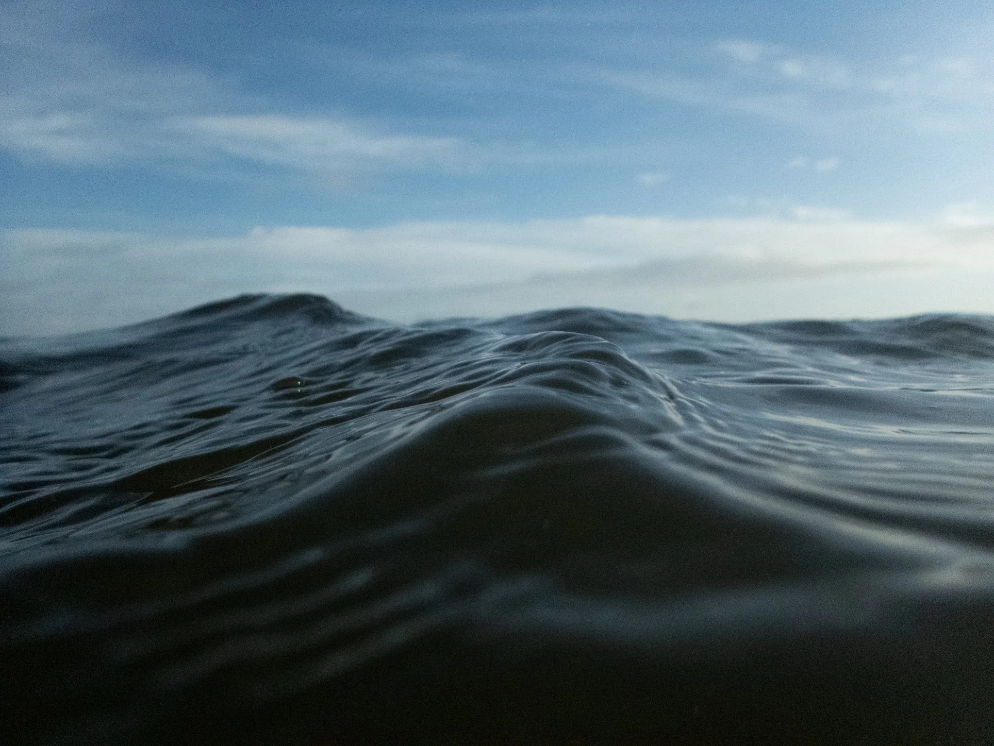 PB010092.jpg