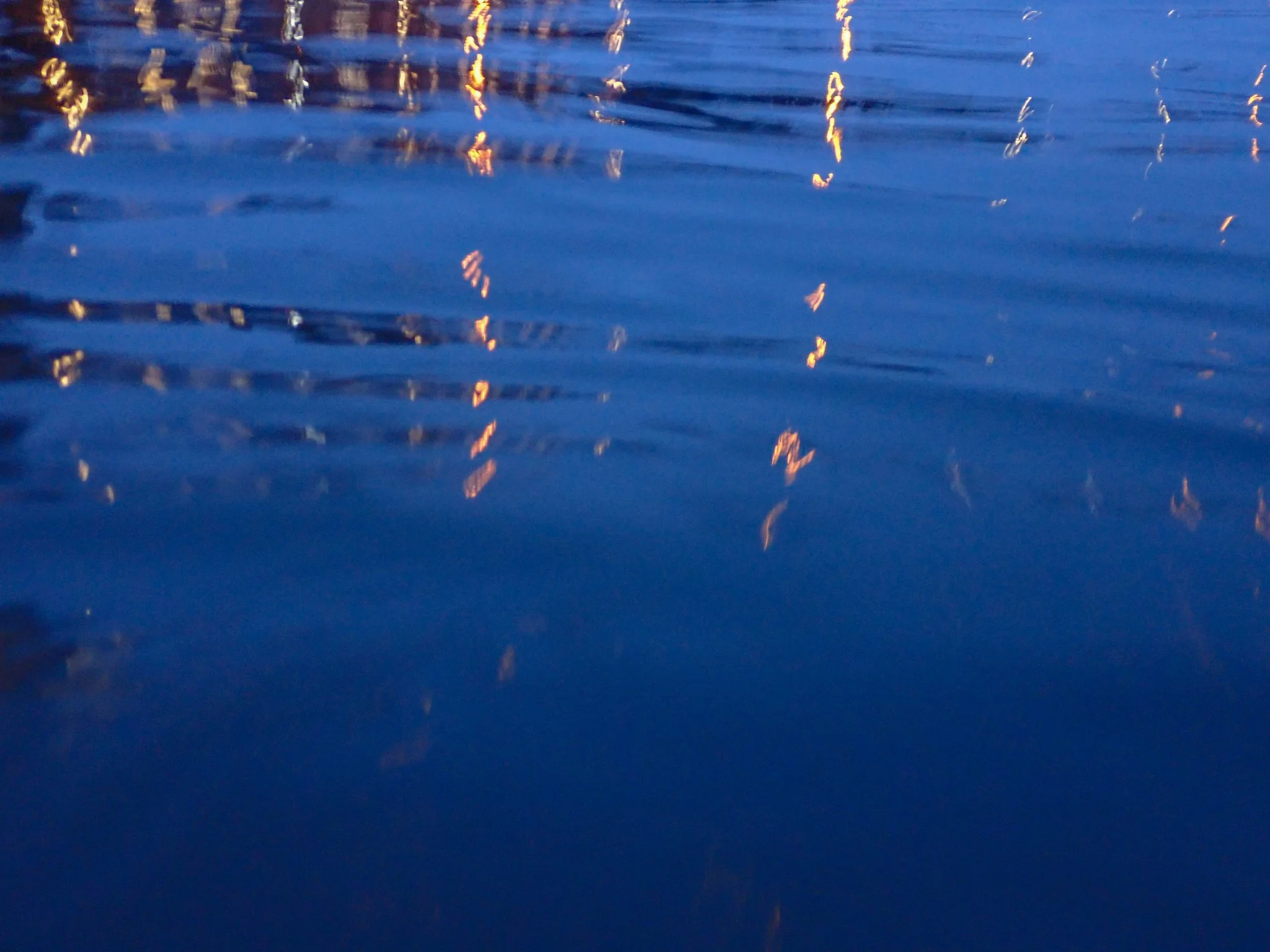PC221114.jpg