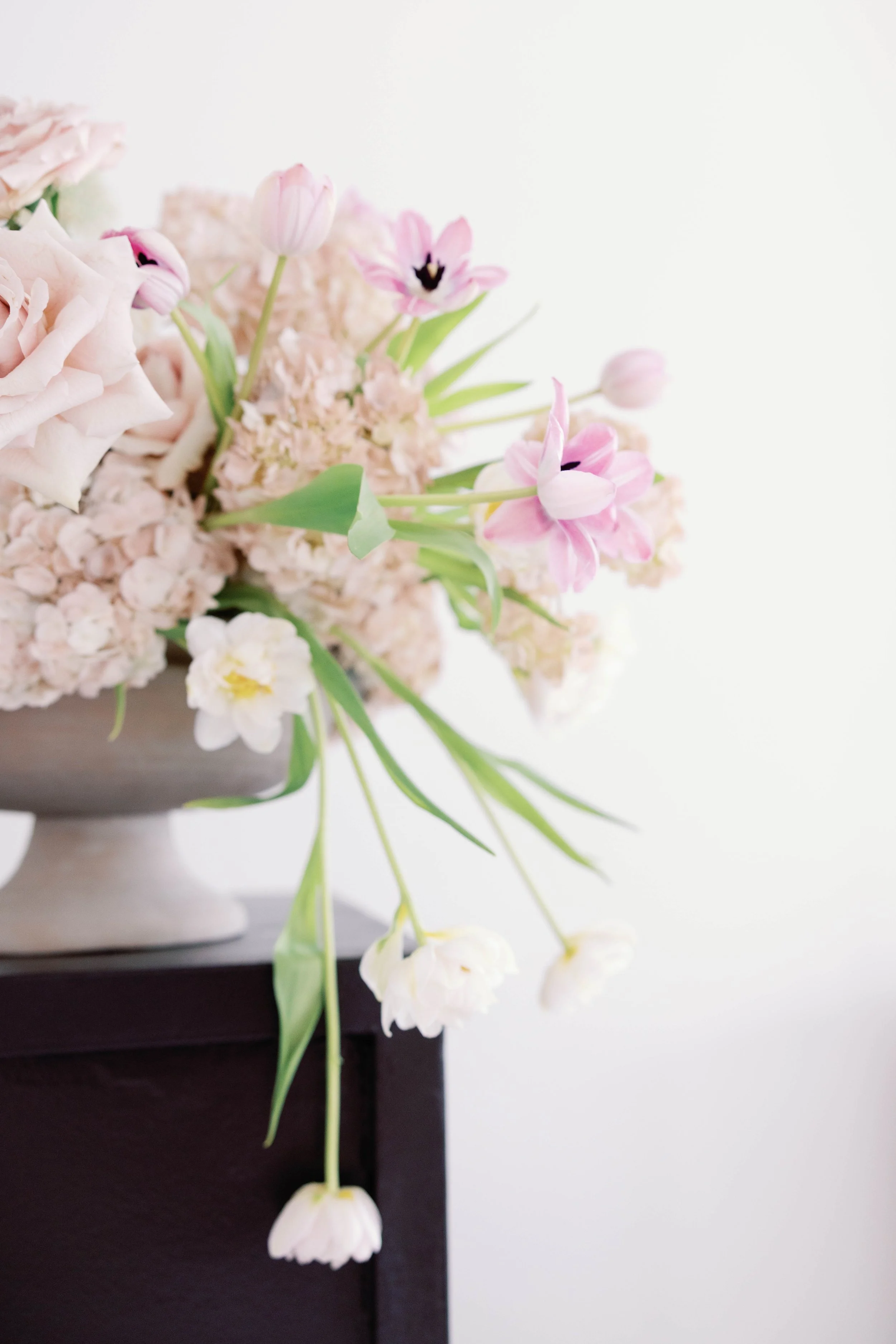 chandlerwilliamsphoto49607.jpg