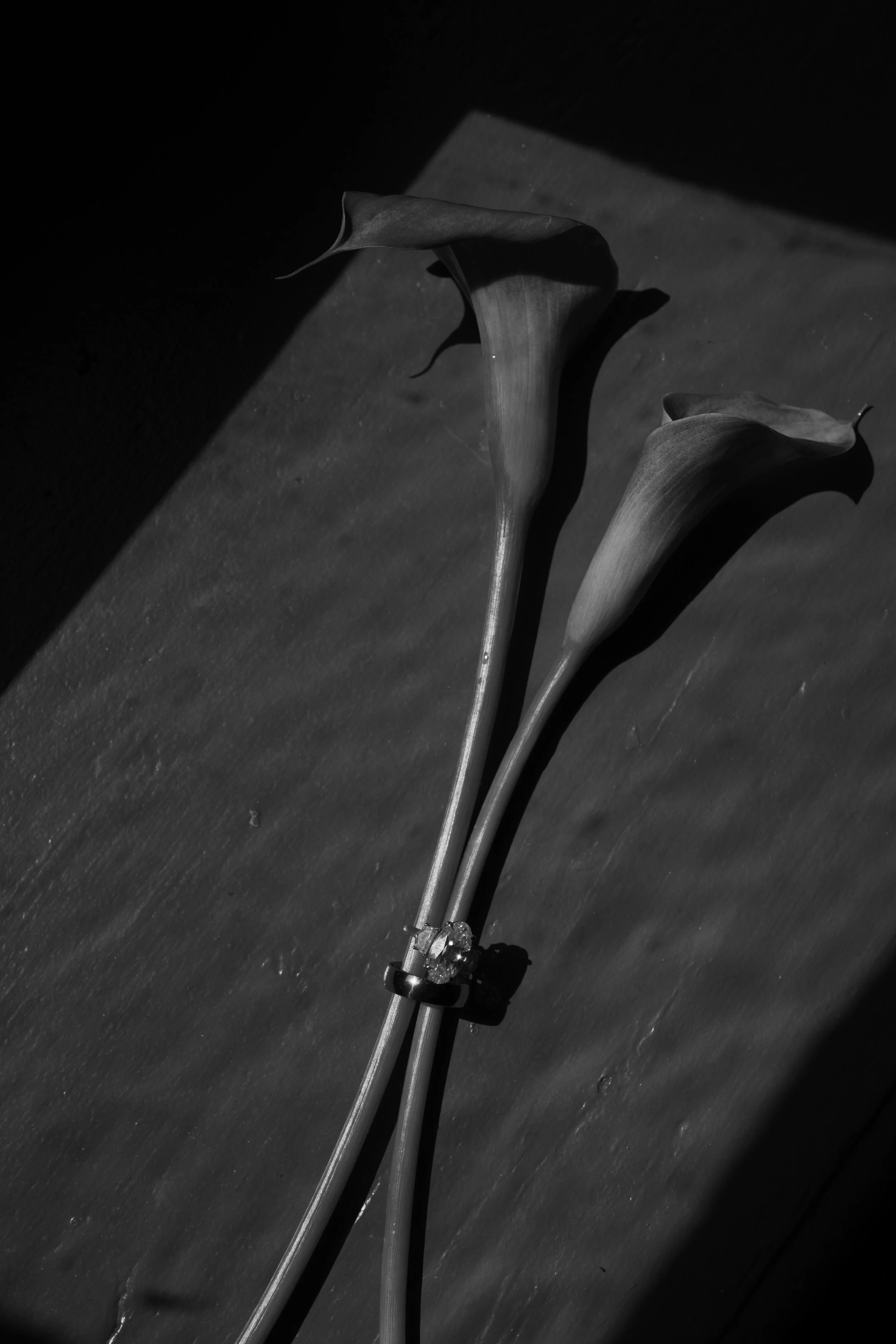 SCW09541.jpg