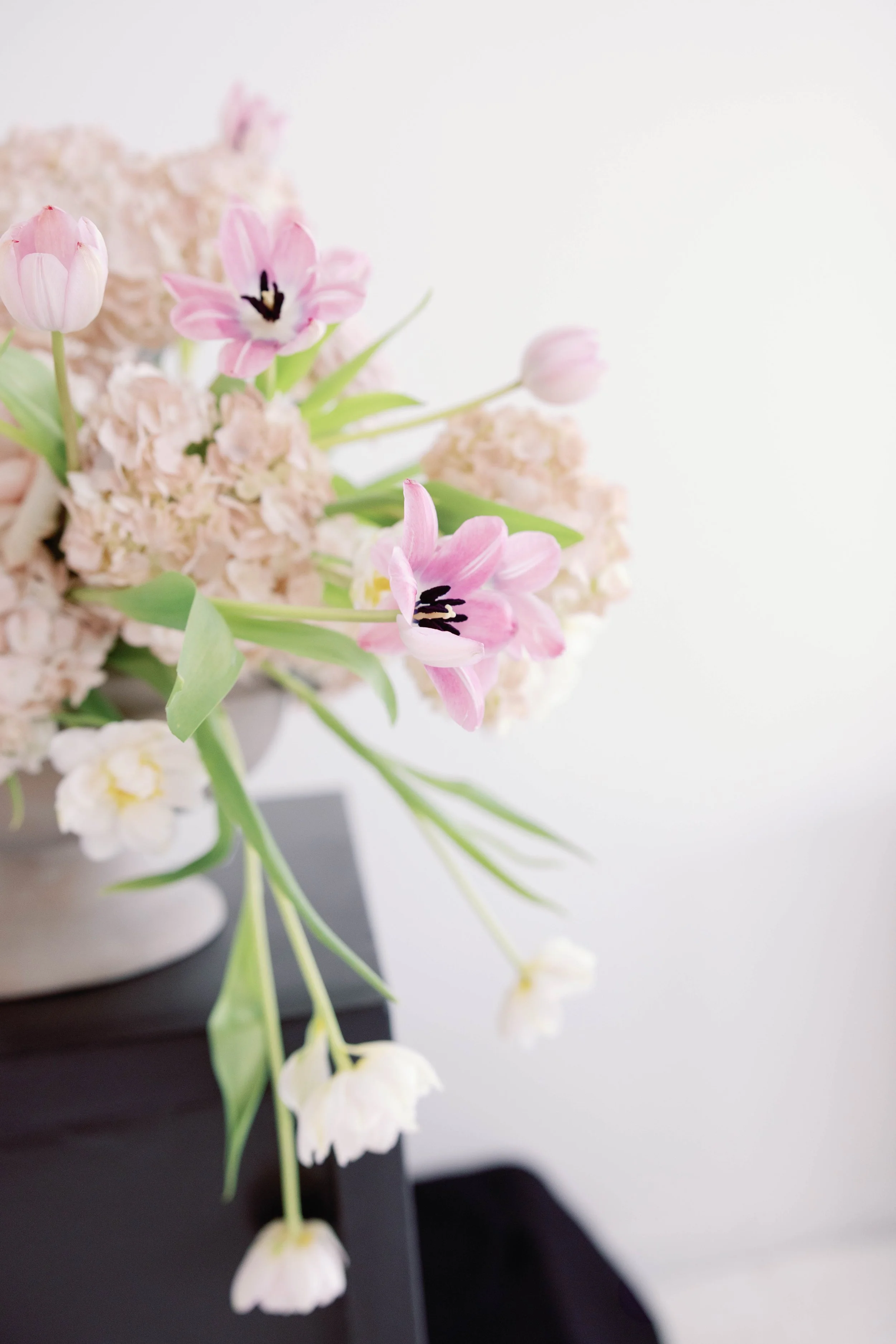 chandlerwilliamsphoto49606.jpg
