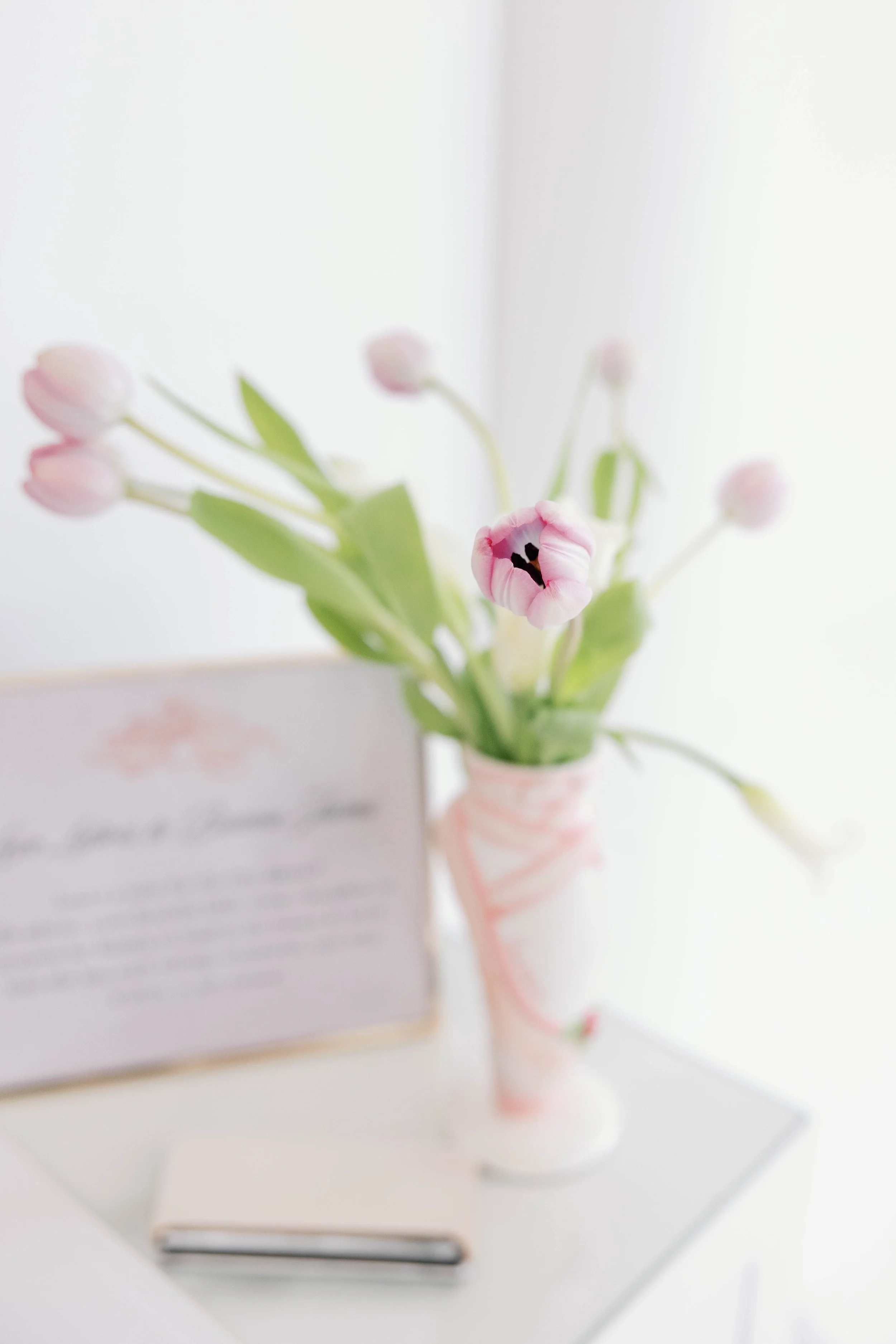 chandlerwilliamsphoto49525.jpg