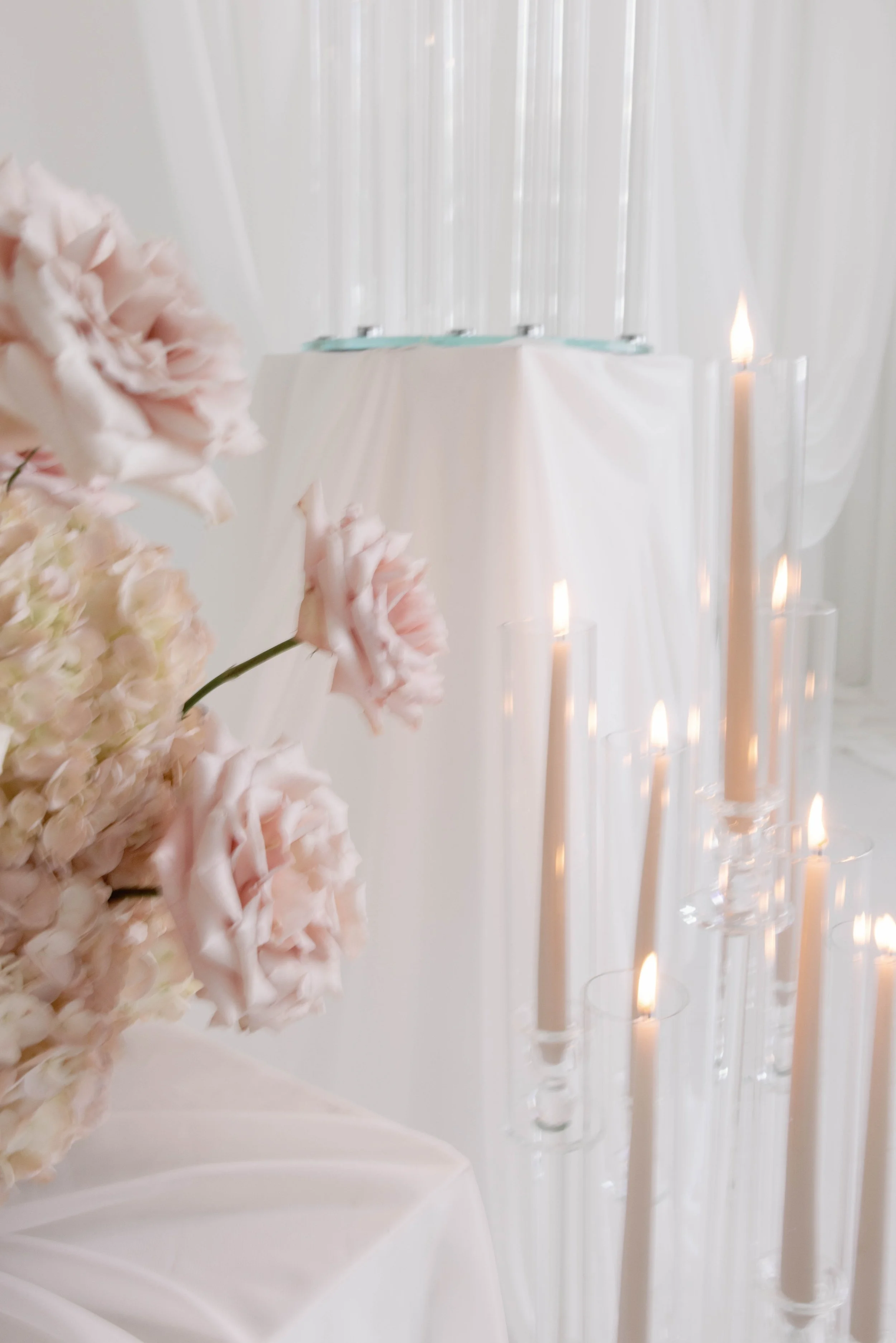 chandlerwilliamsphoto49665.jpg