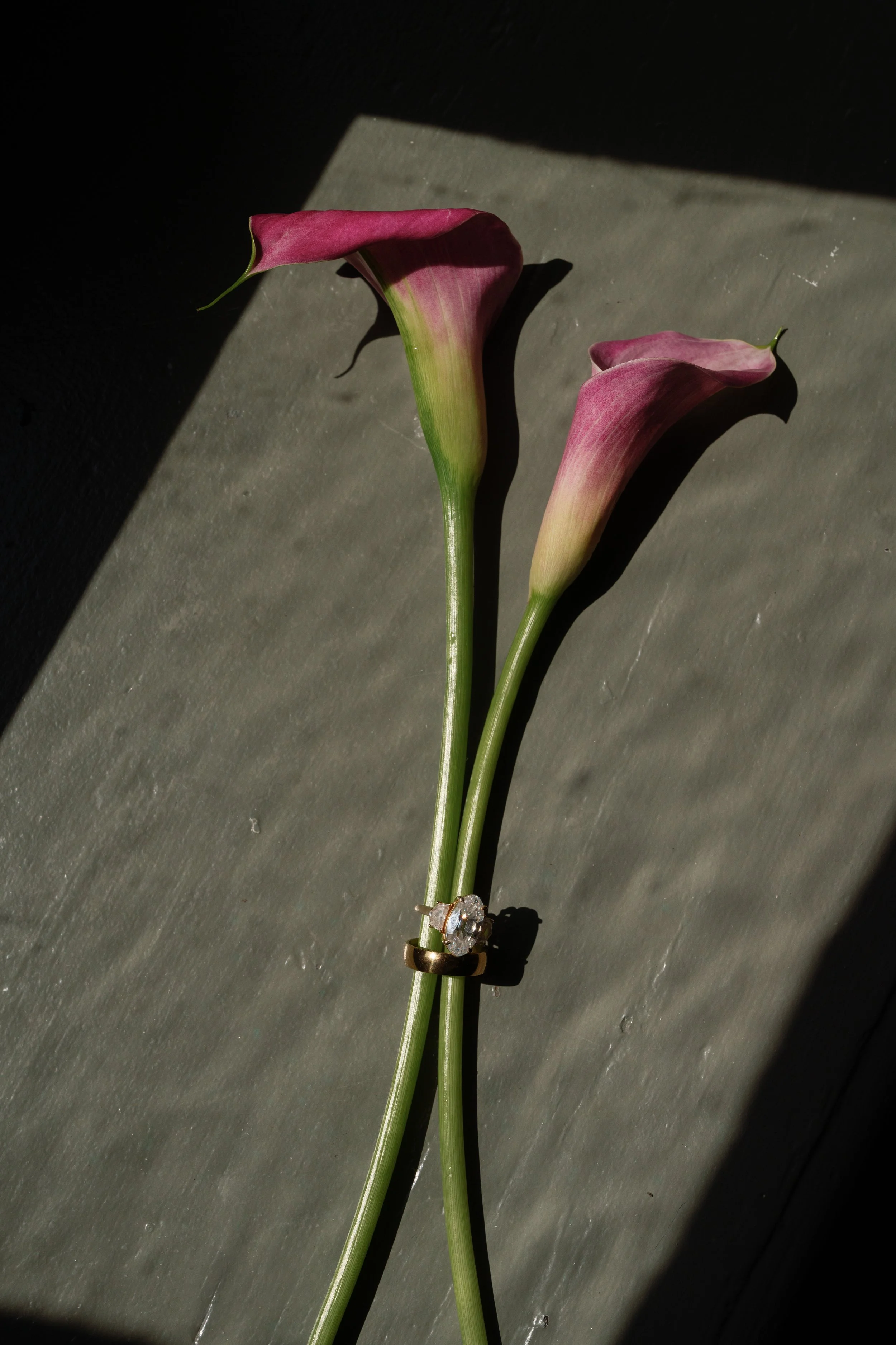 SCW09543.jpg