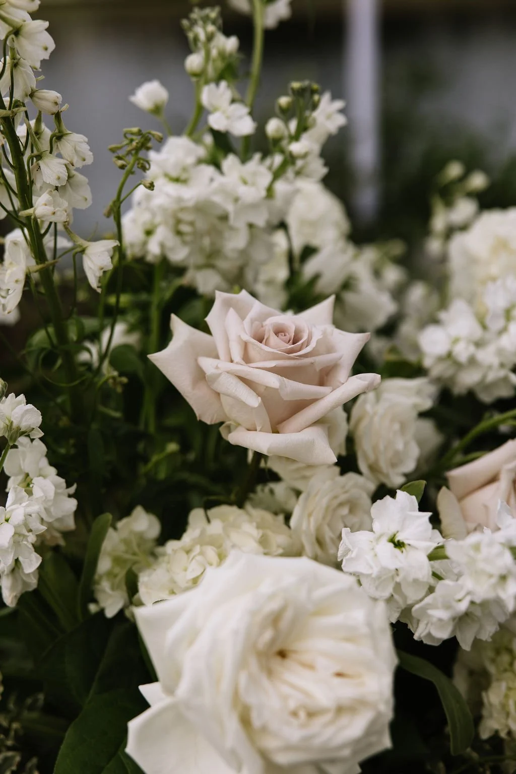 ali&ryan.ceremony-3.jpg
