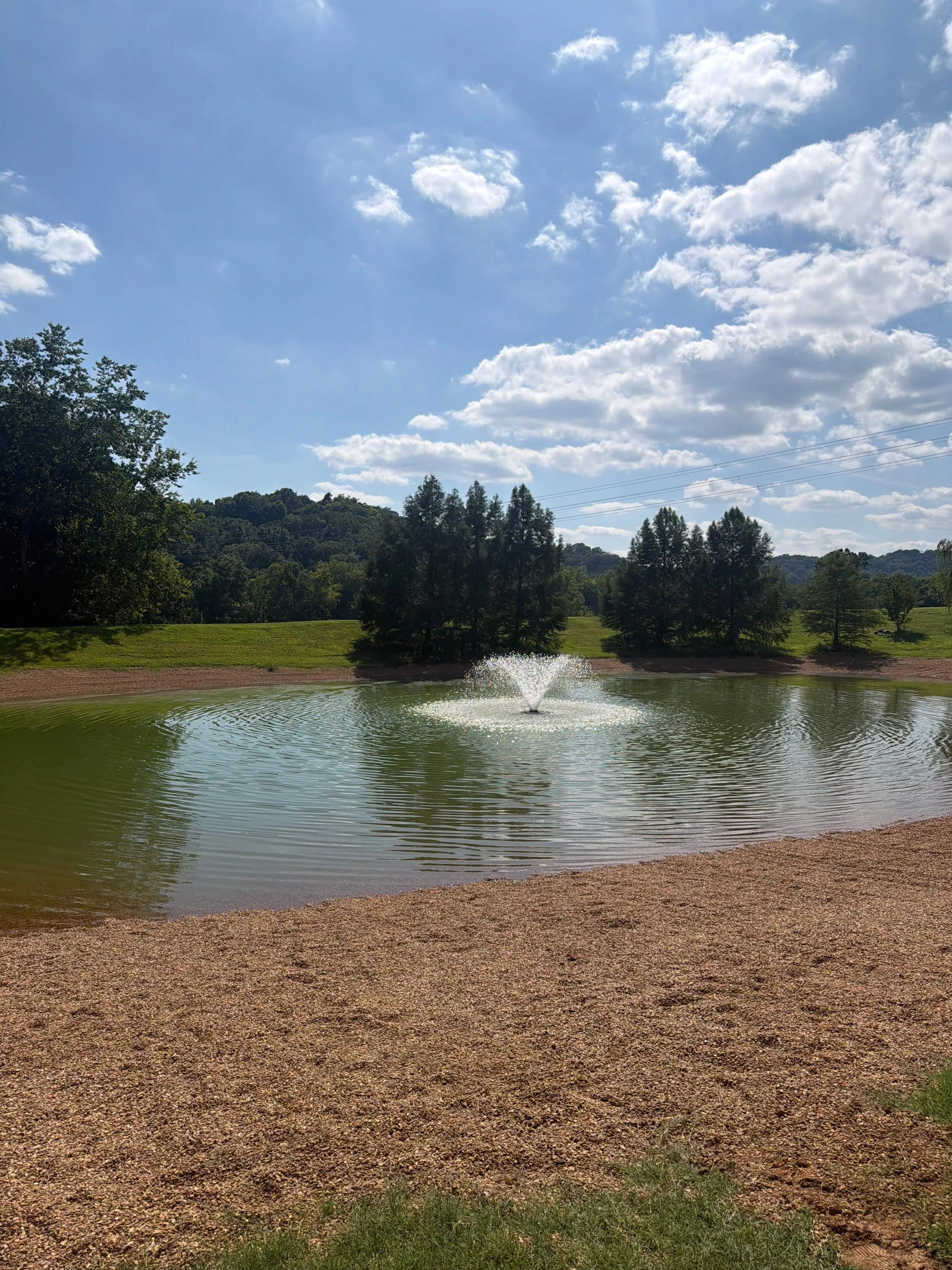 Pond construction