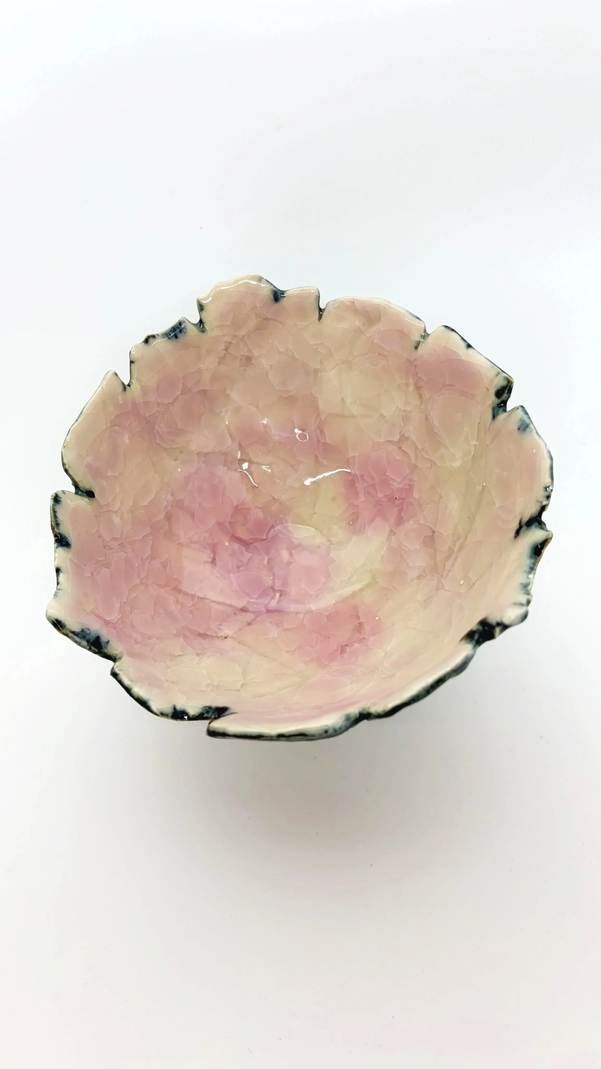 pink milkylescent