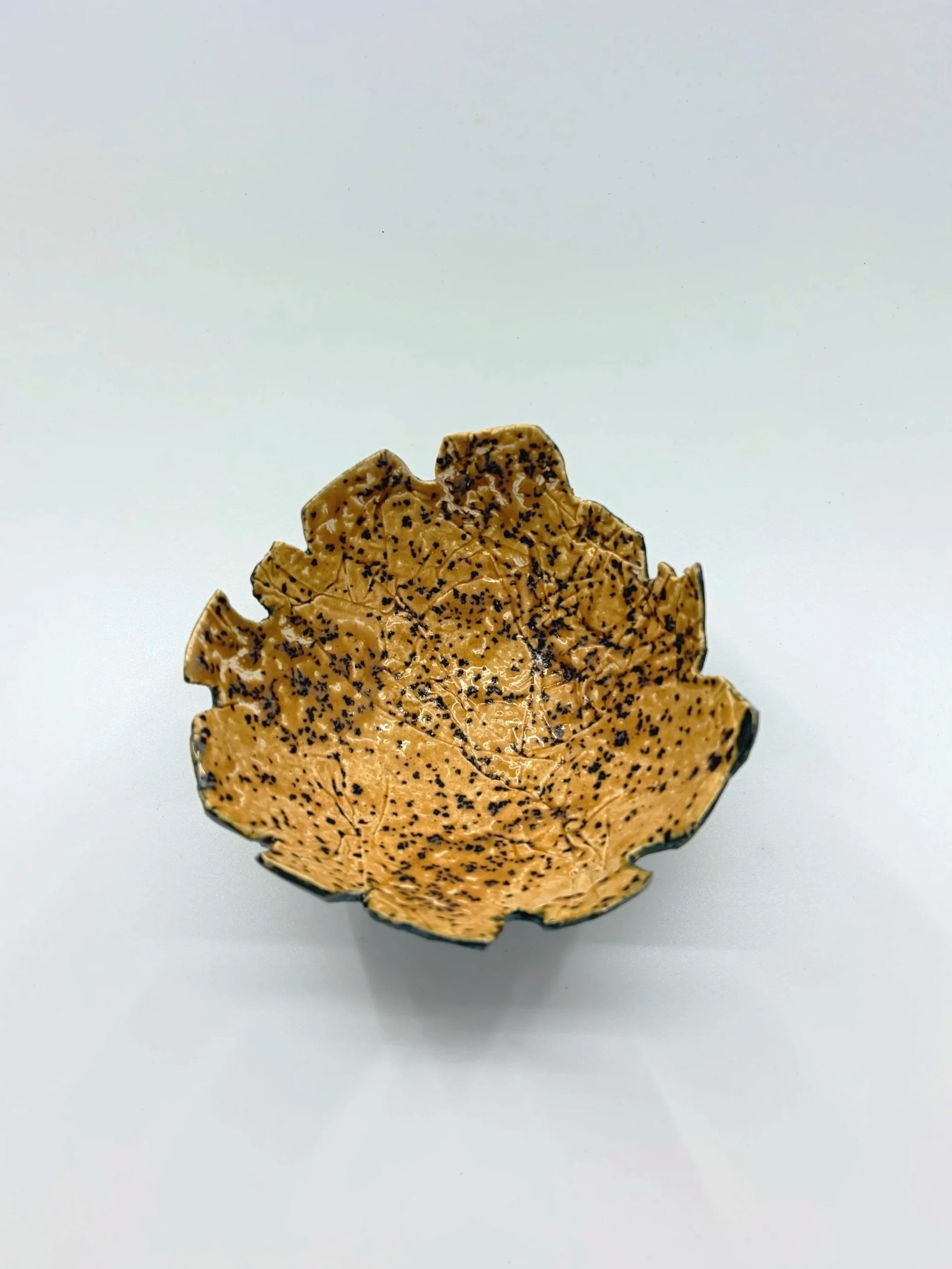 dark brown hinoki