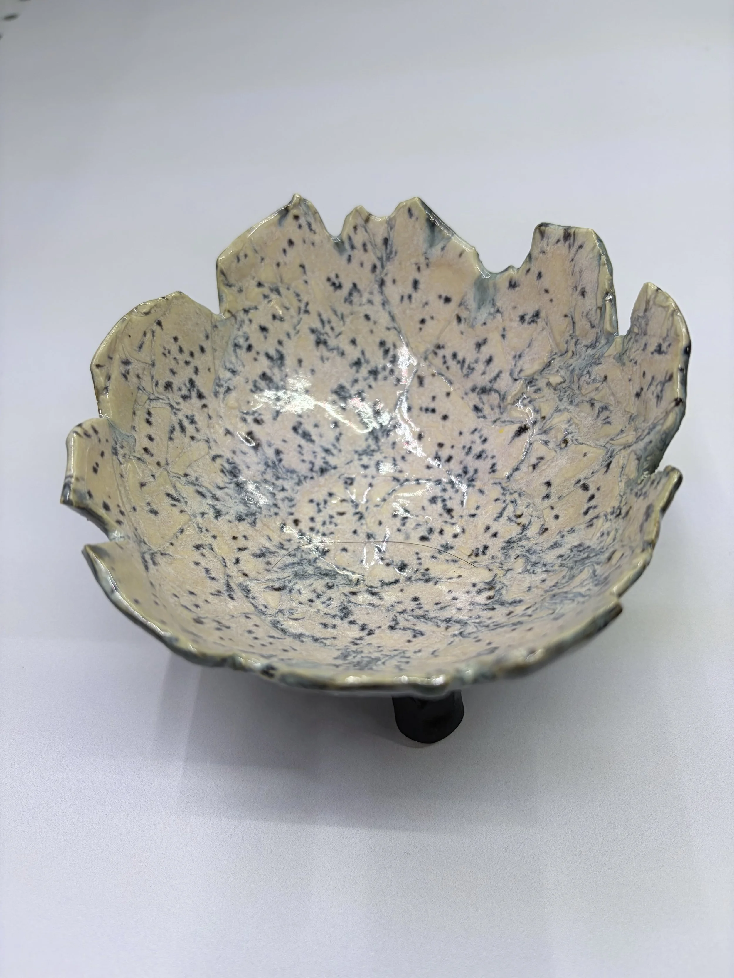 blue hinoki