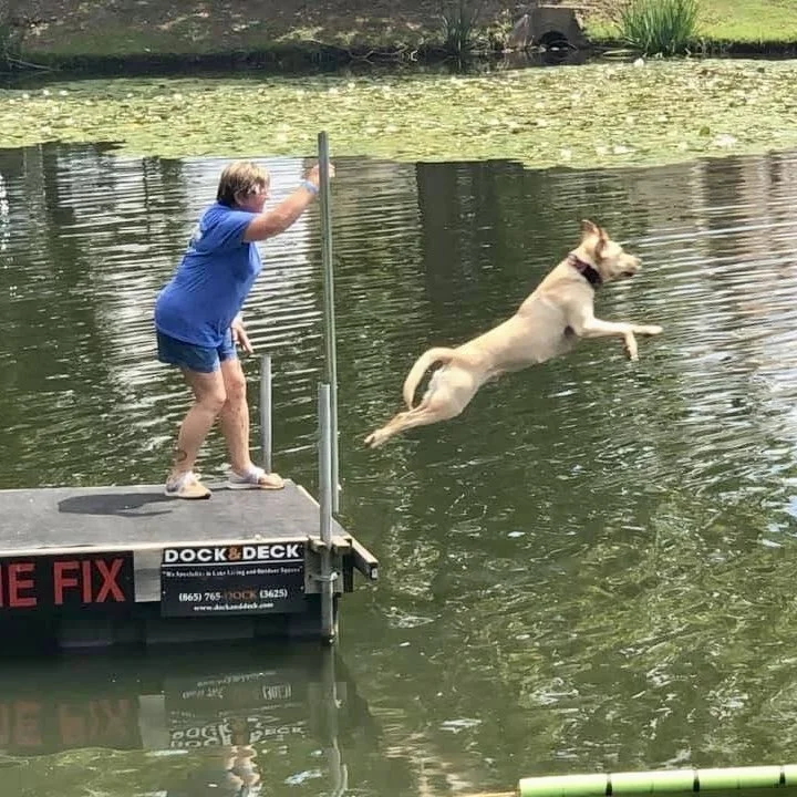 Dock Dogs