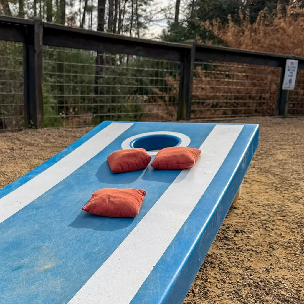 CORNHOLE