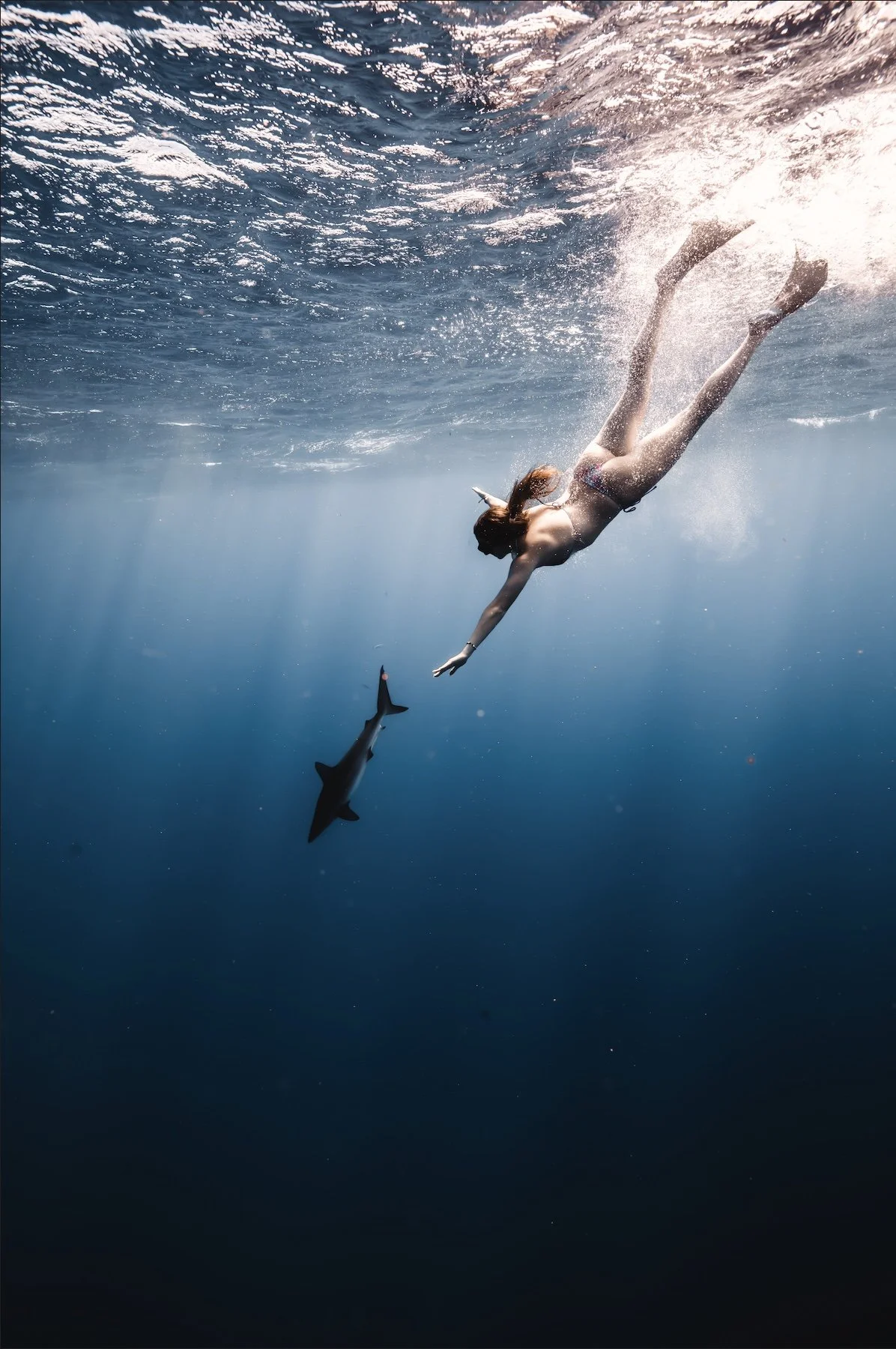 Image 1-3-26 at 6.51 PM.jpeg