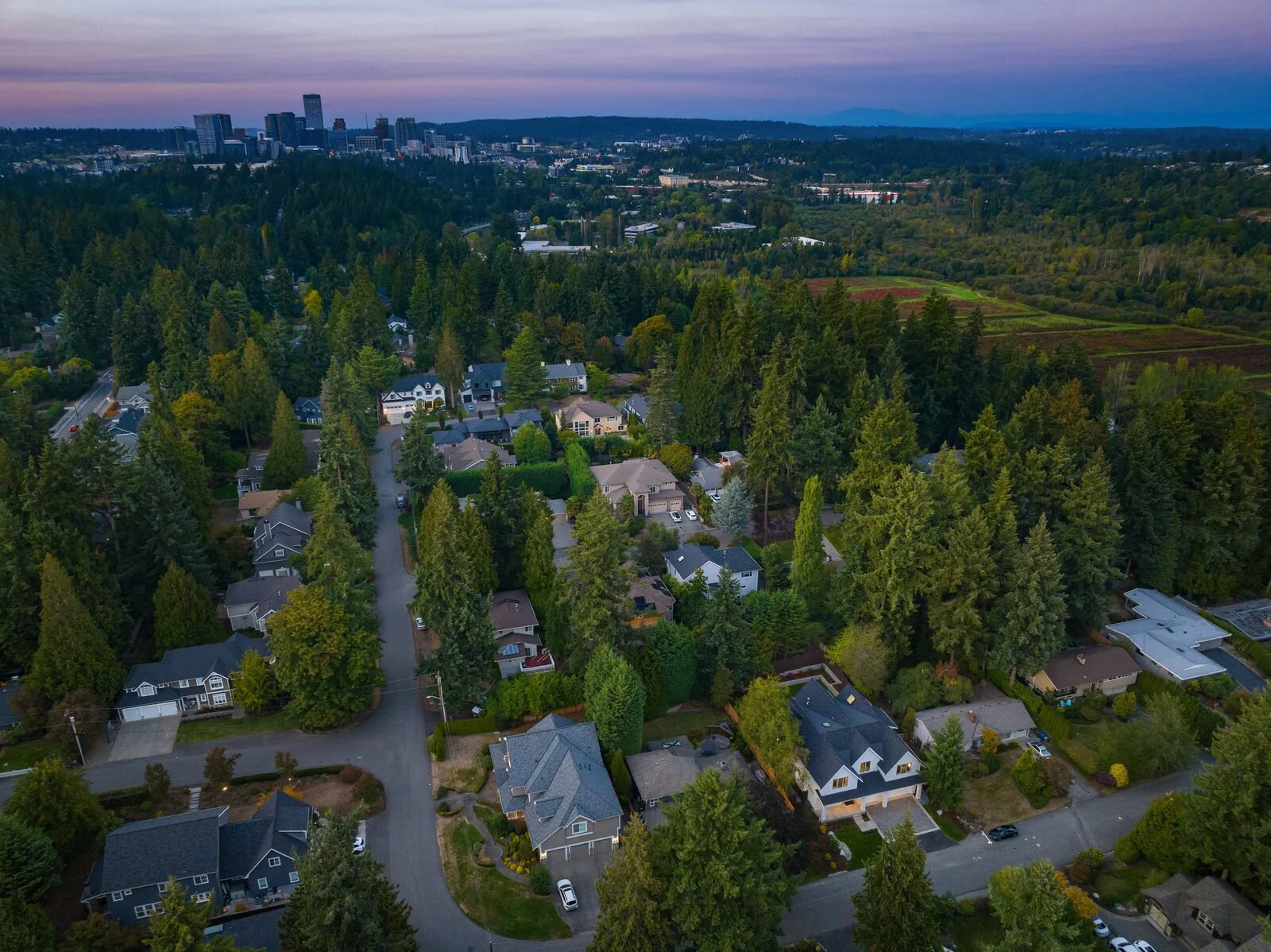 Aerial view of a suburban neighborhood surrounded by dense trees, with a city skyline in the background and a colorful sunset sky above.
