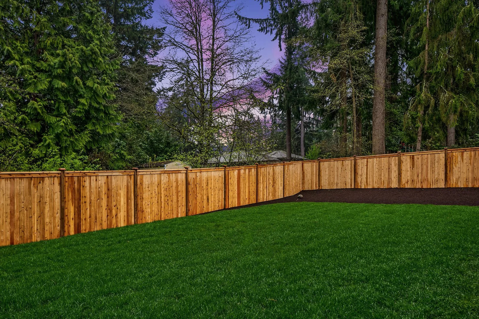 Backyard with green grass, a wooden fence, and tall trees in the background during dusk.