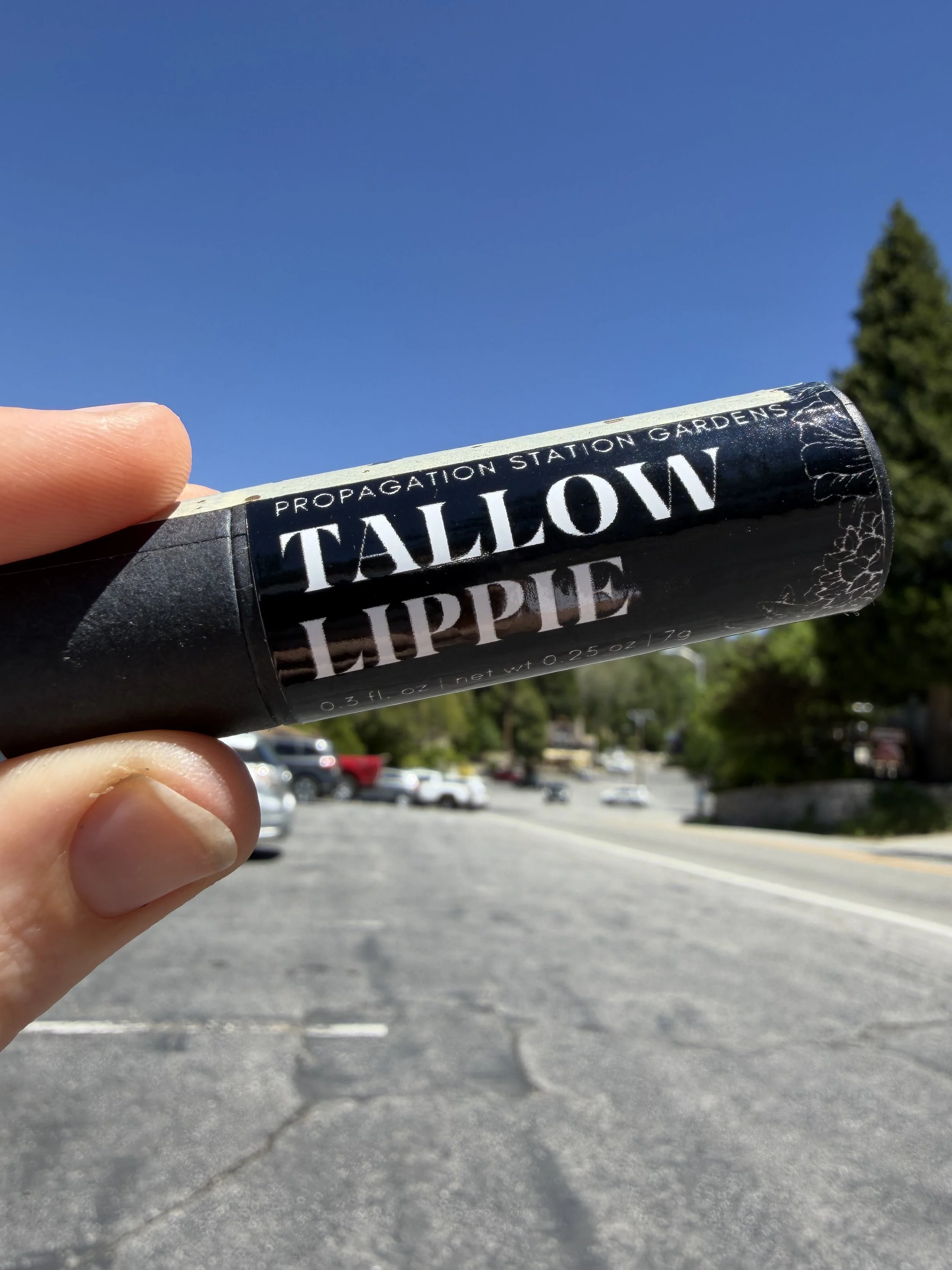 Tallow Lippie