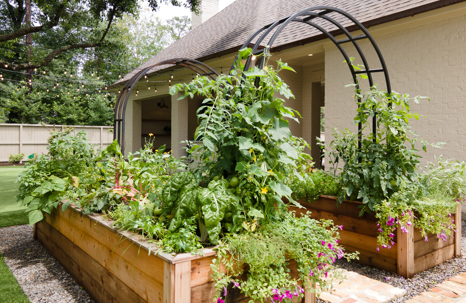 Raised Garden beds full of veggies with two arch trellises