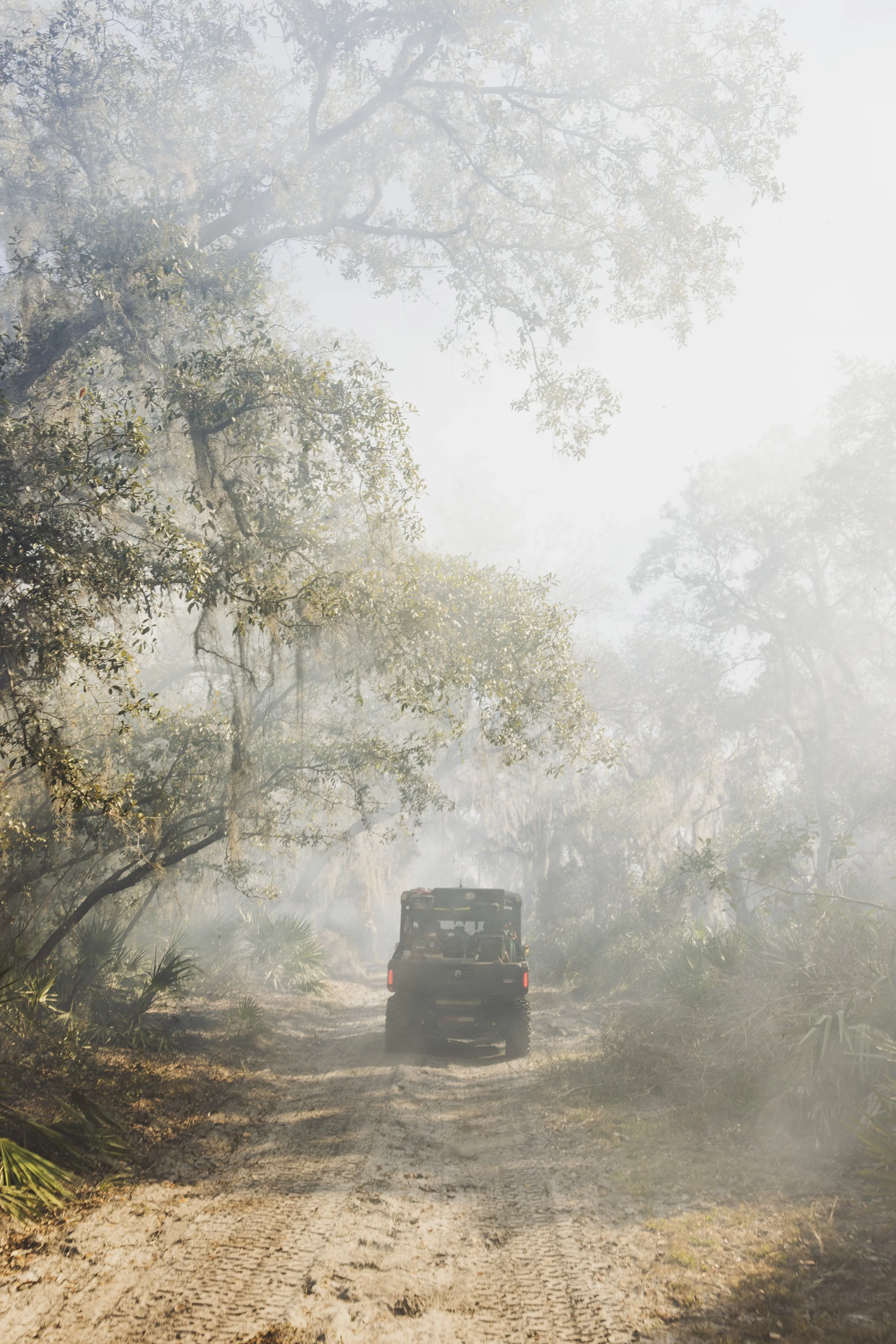 A documentary photo piece of a vehicle driving on a dirt trail through a foggy forest with tall trees and dense foliage on either side.