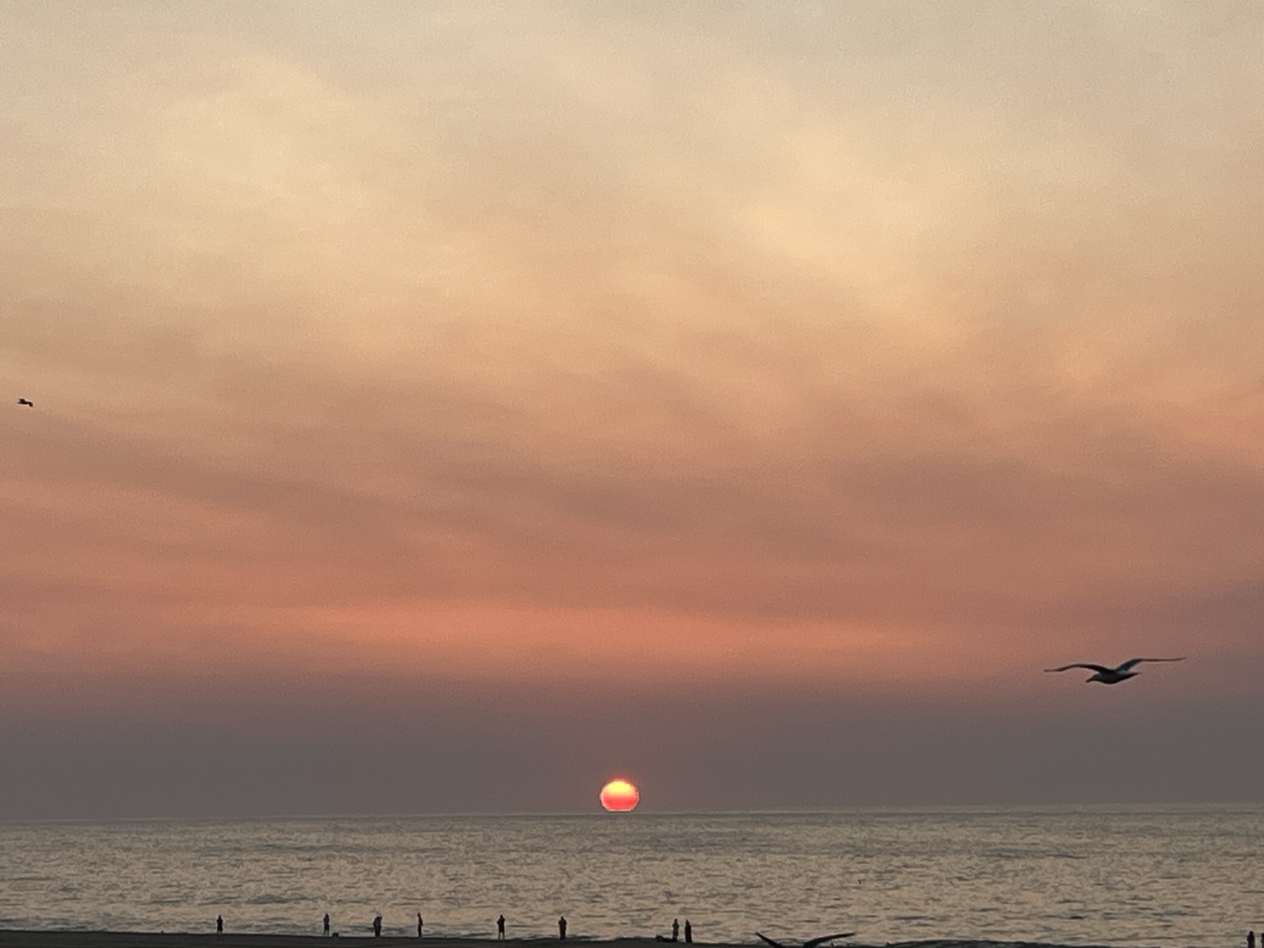 Sunset over the ocean.