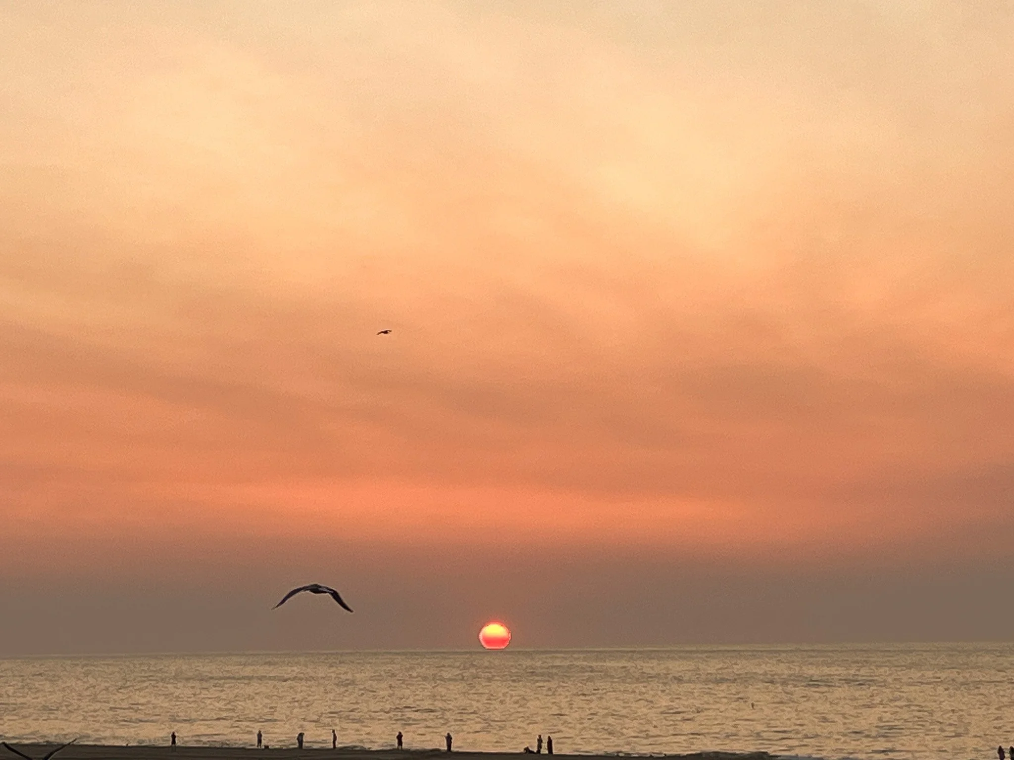 Sunset over the ocean.