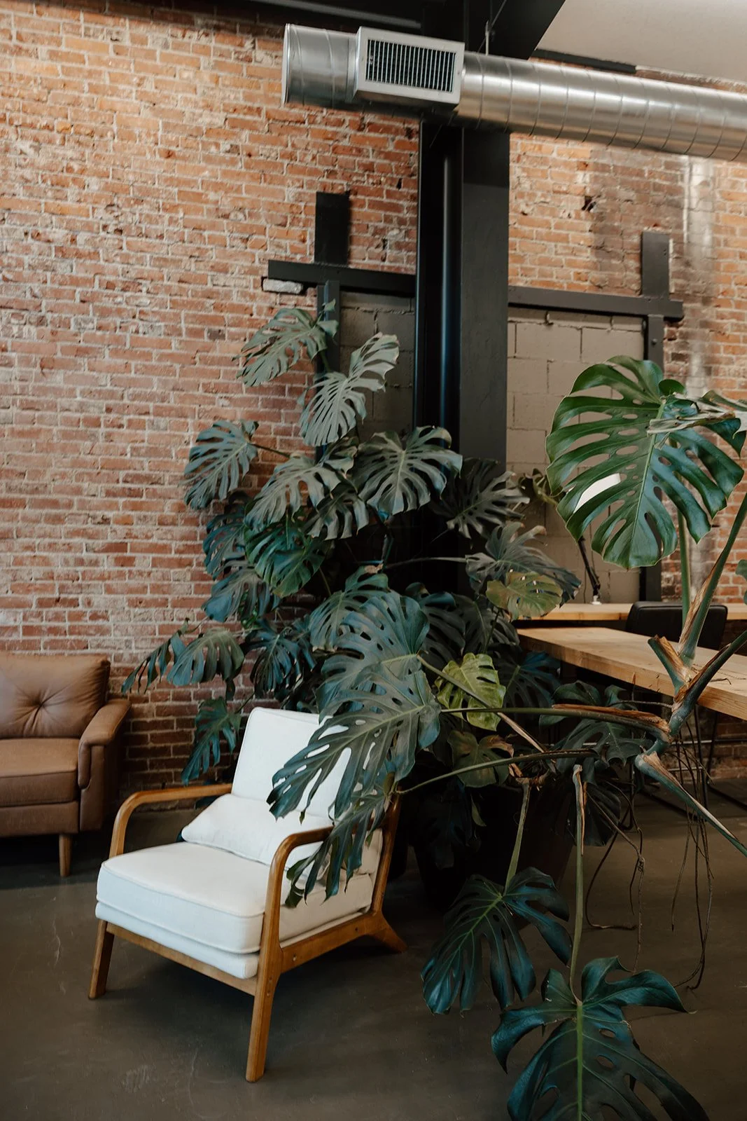 Interior of a modern space in downtown Lynden, WA, with a brick wall, large indoor plant, white armchair with wooden arms, part of a wooden table, black chairs, and industrial ductwork on the ceiling.