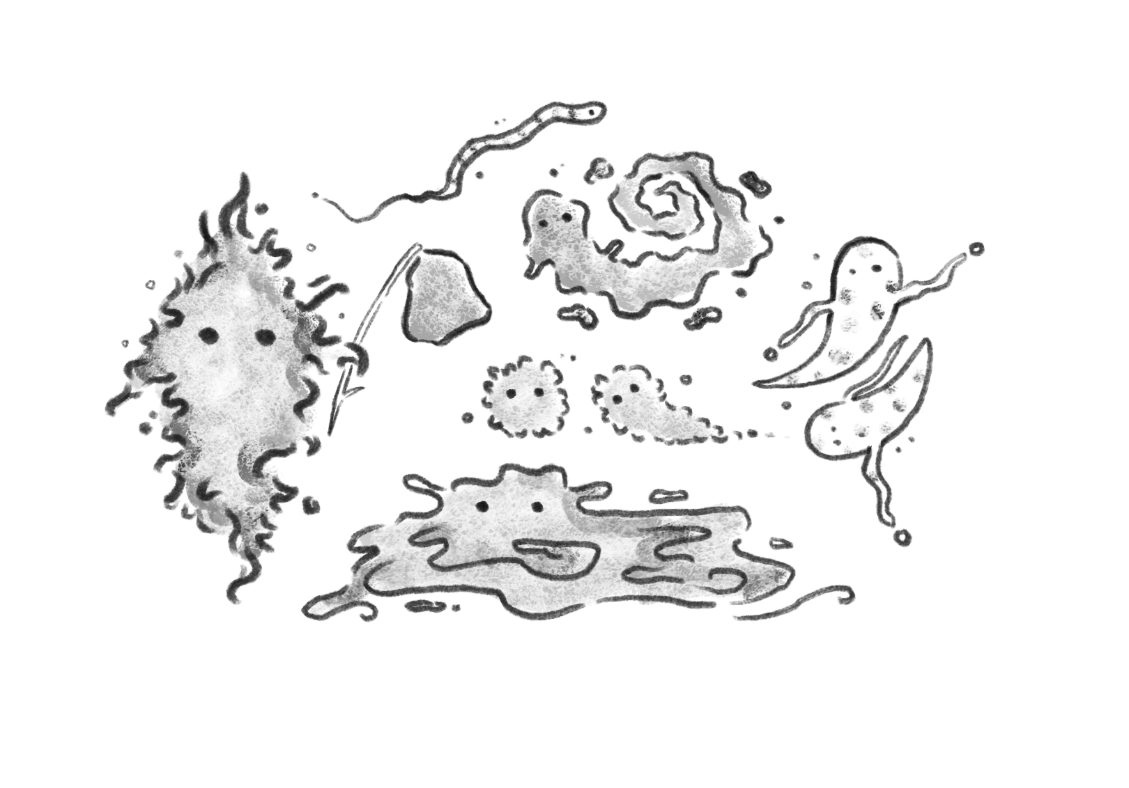 Untitled_Artwork 13.png