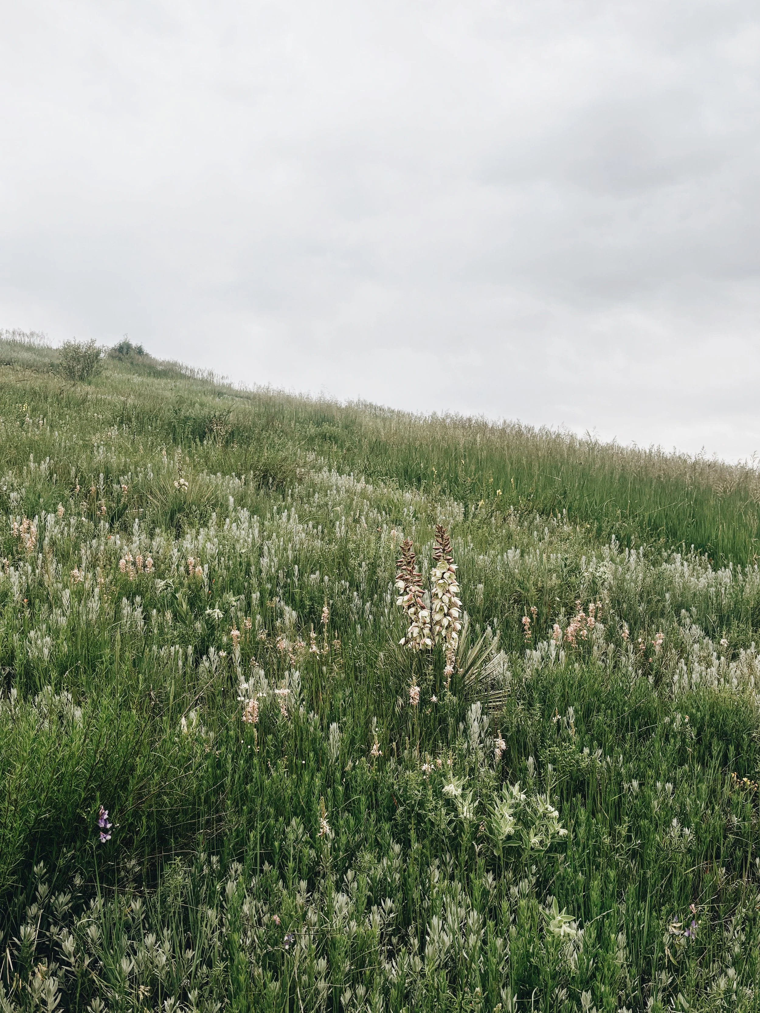 IMG_1920_VSCO_VSCO 2.JPG