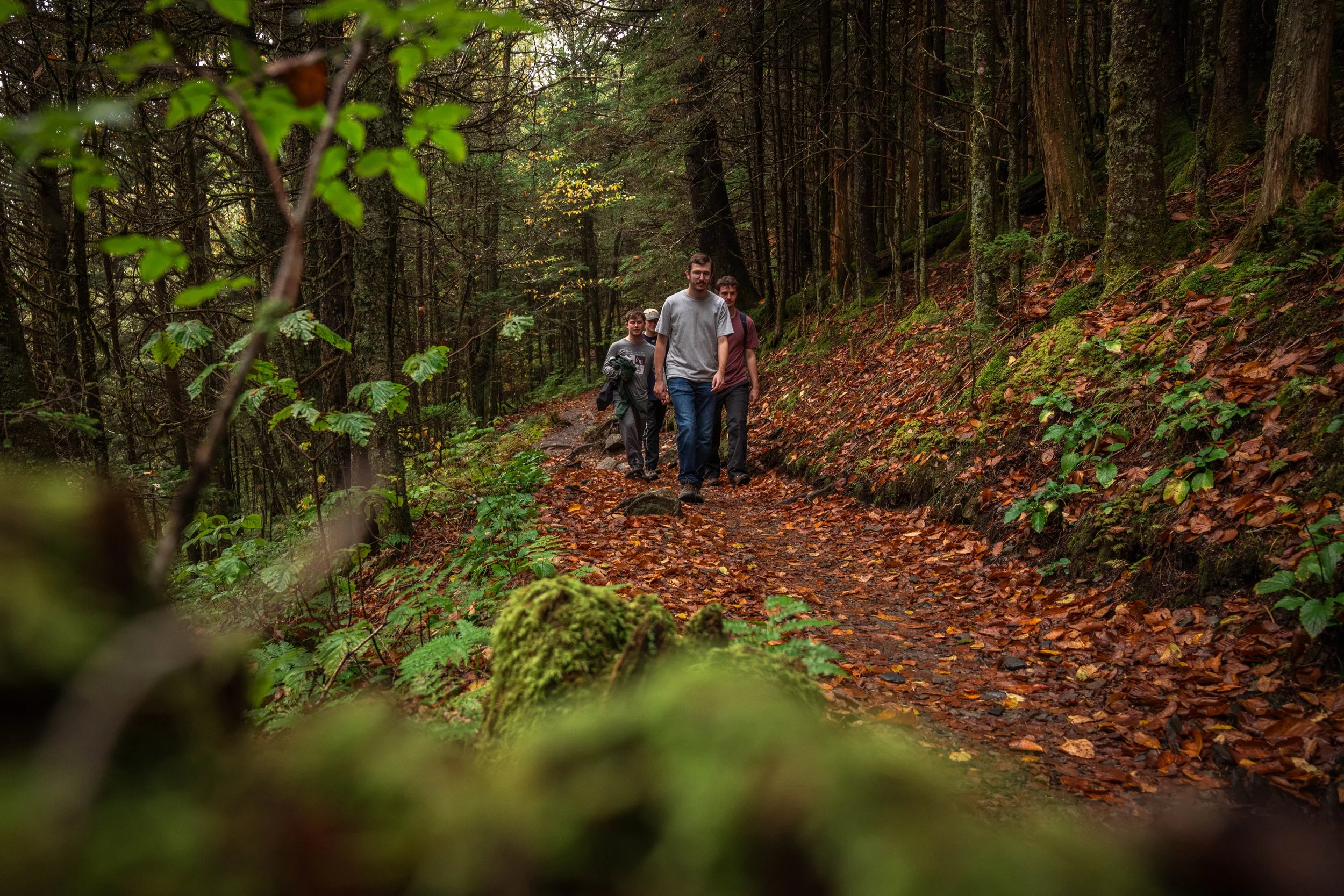 Group of four young men hiking on a forest trail covered with fallen autumn leaves, surrounded by trees and green foliage.