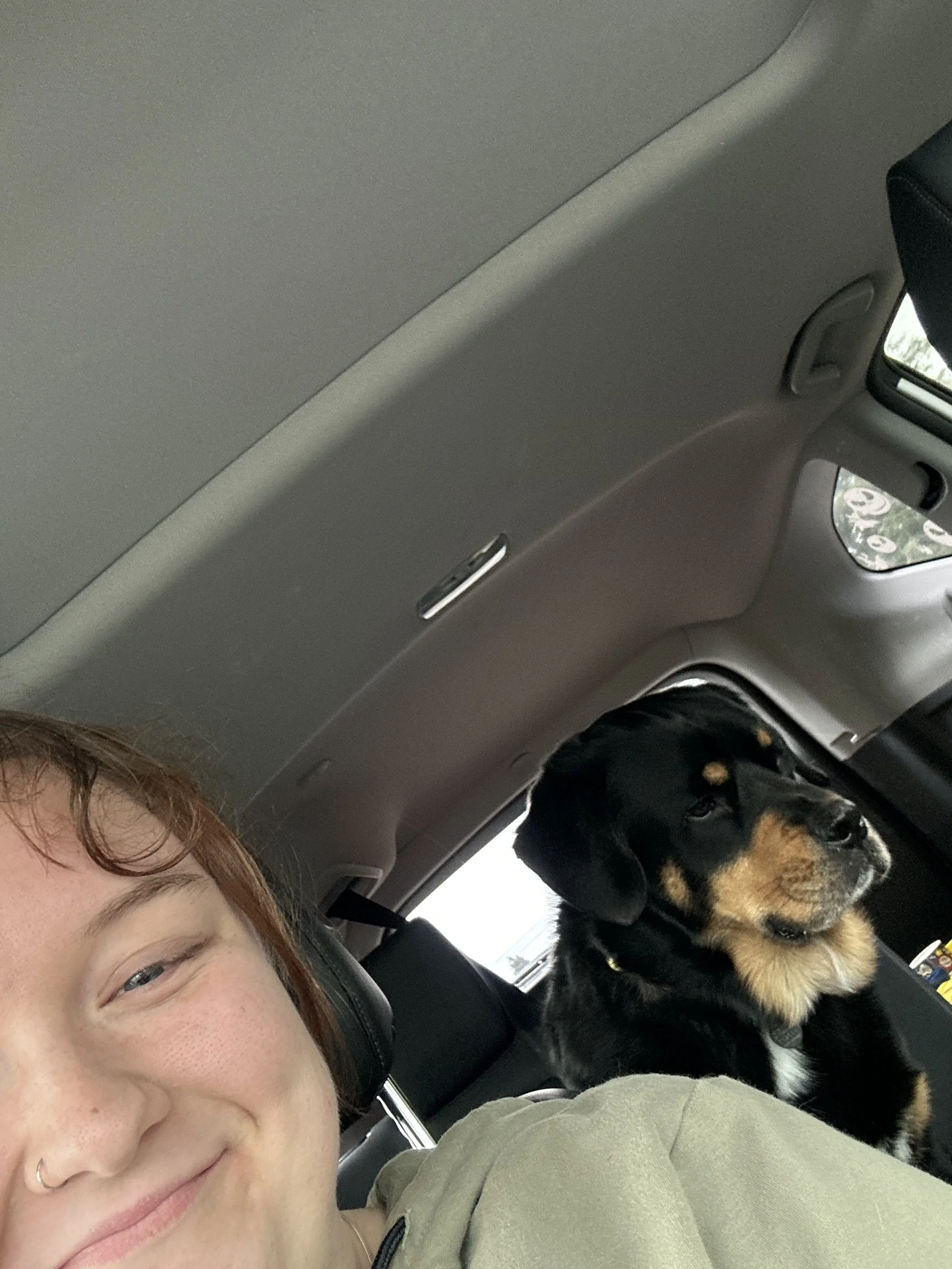 A woman in a green sweatshirt sitting in a car with a rottweiler, while smiling at the camera
