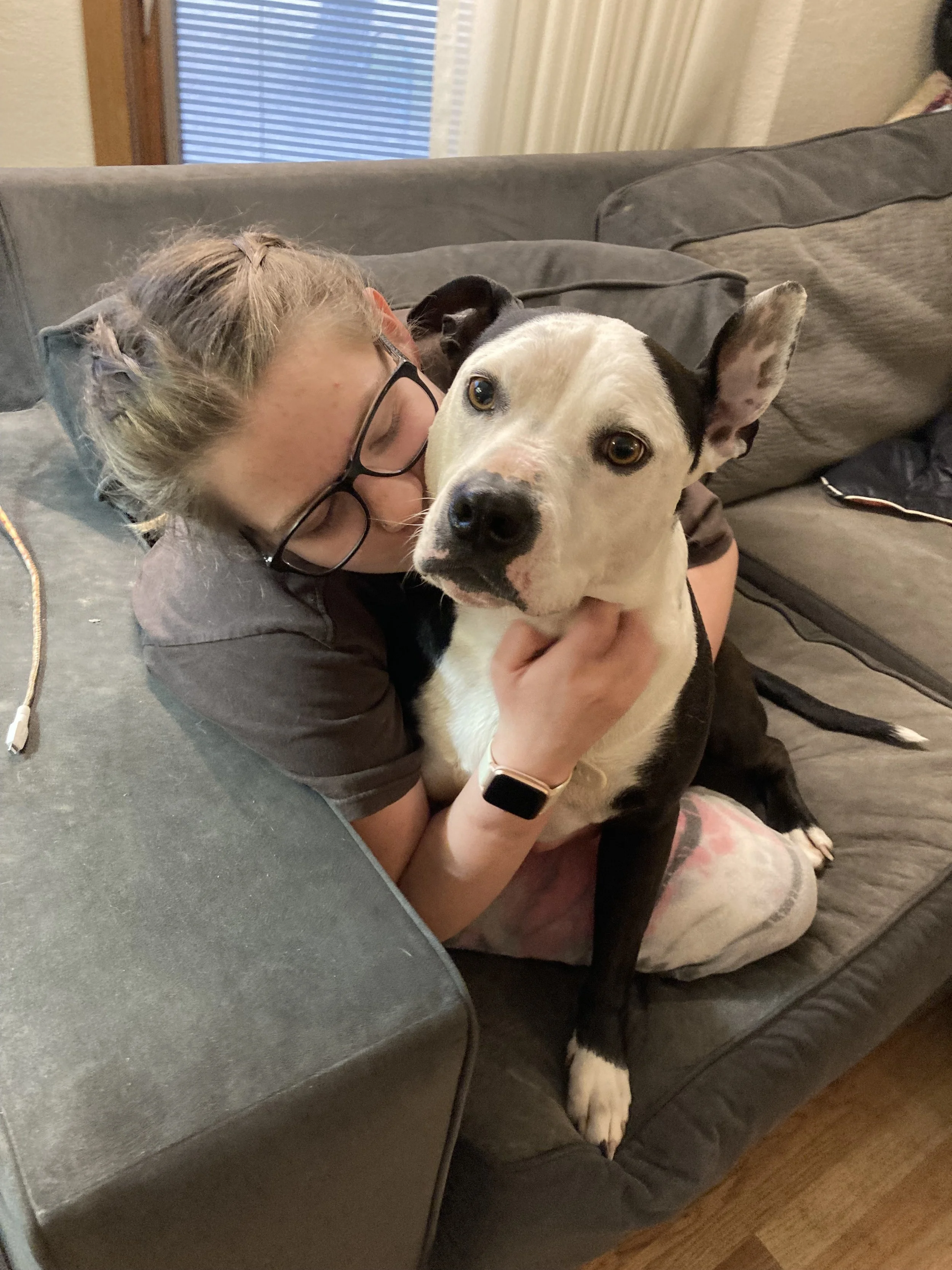 a girl with glasses wearing a gray shirt kissing a black and white dog