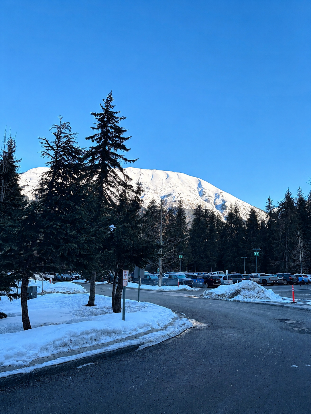 Snow-covered parking lot with cars, surrounded by tall pine trees, mountains in the background, and a clear blue sky.
