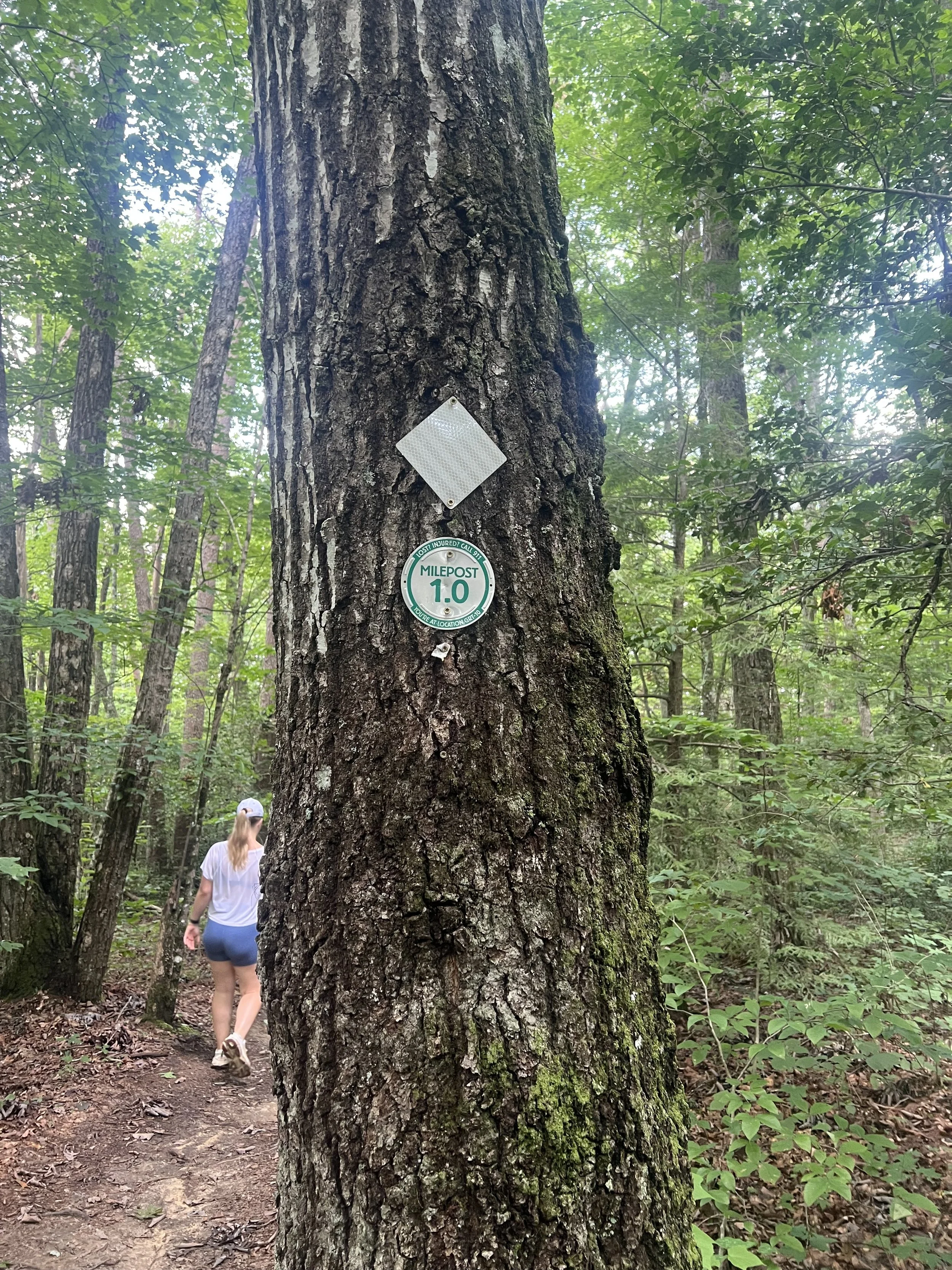Woman walking on a wooded trail with trees and greenery around, a large tree trunk with milepost 1.0 and a reflective square sign attached to it.