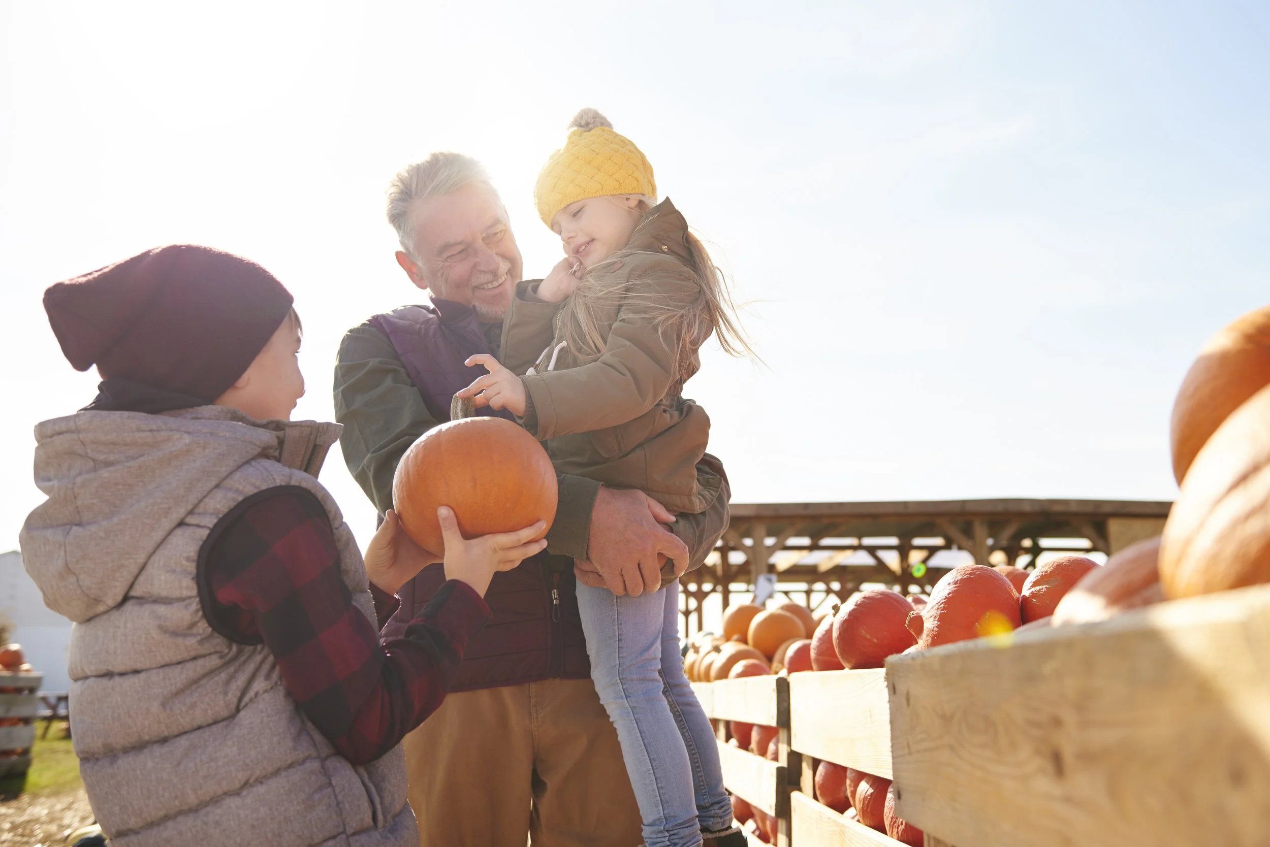 Early Fall at the Farm