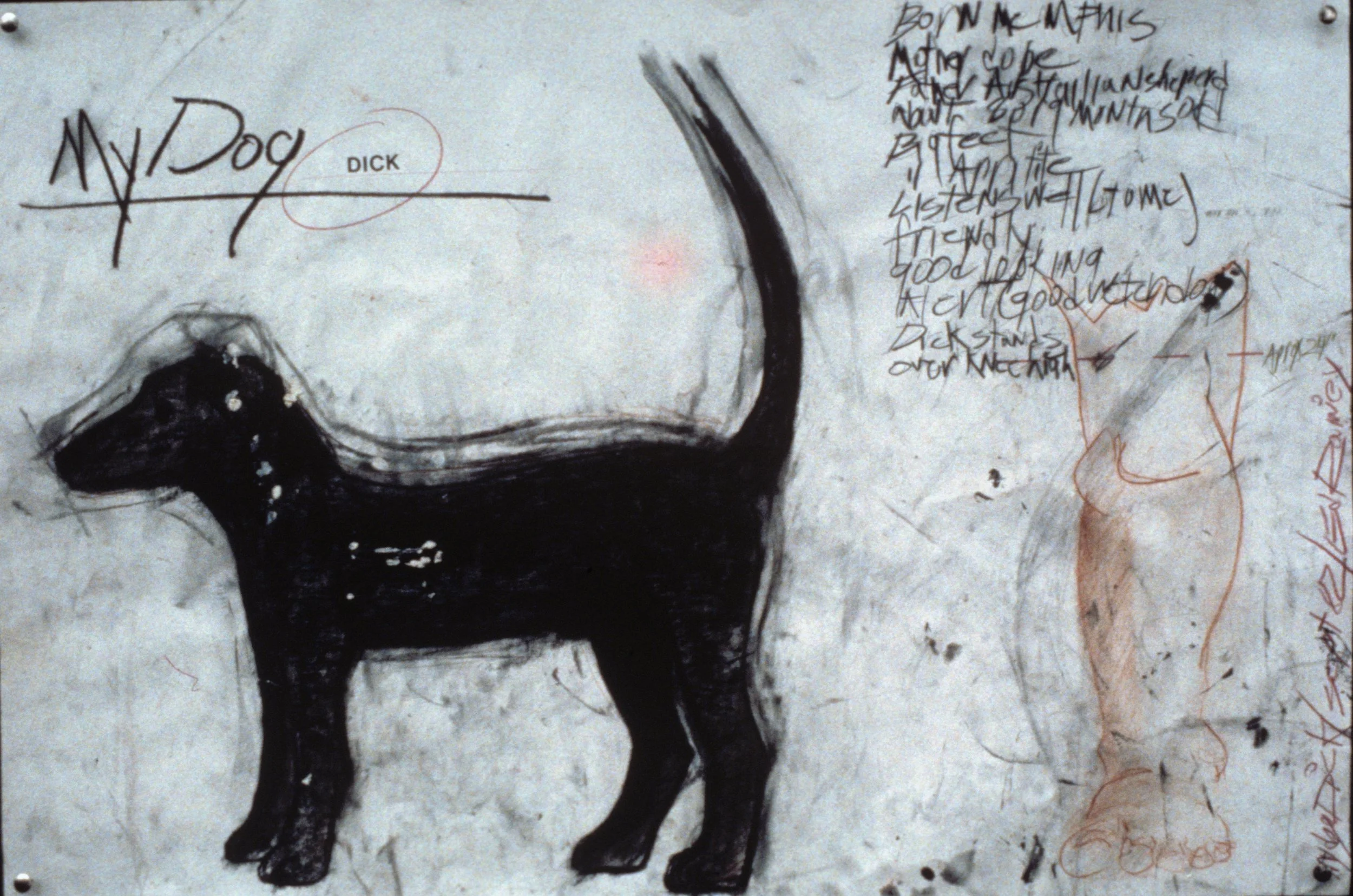 My Dog Dick, 1982, mixed media on paper, 36 x 24 in.