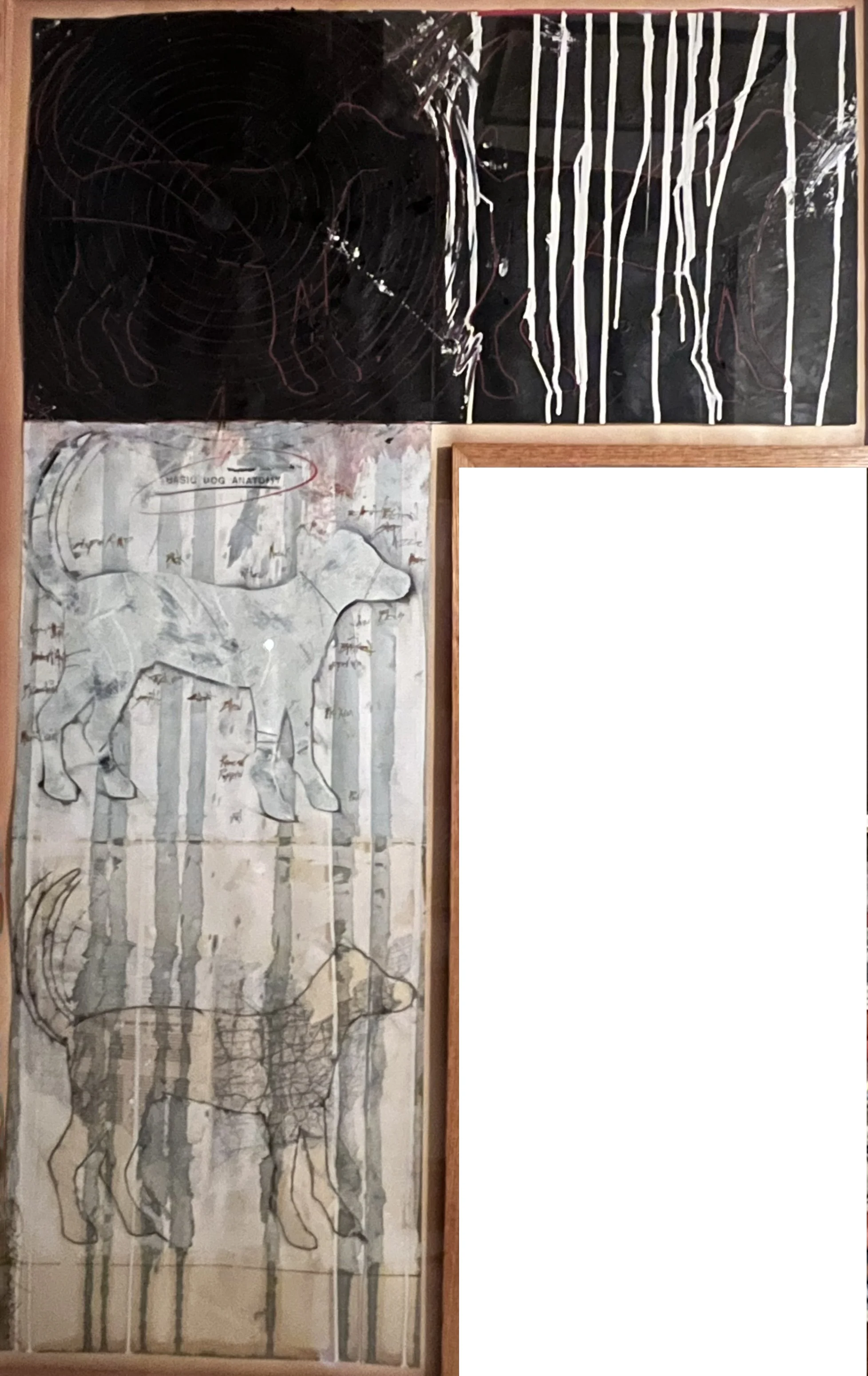 "Basic Dog Anatomy," 1987,
mixed media on paper, 54 x 33 in. 			
$3500