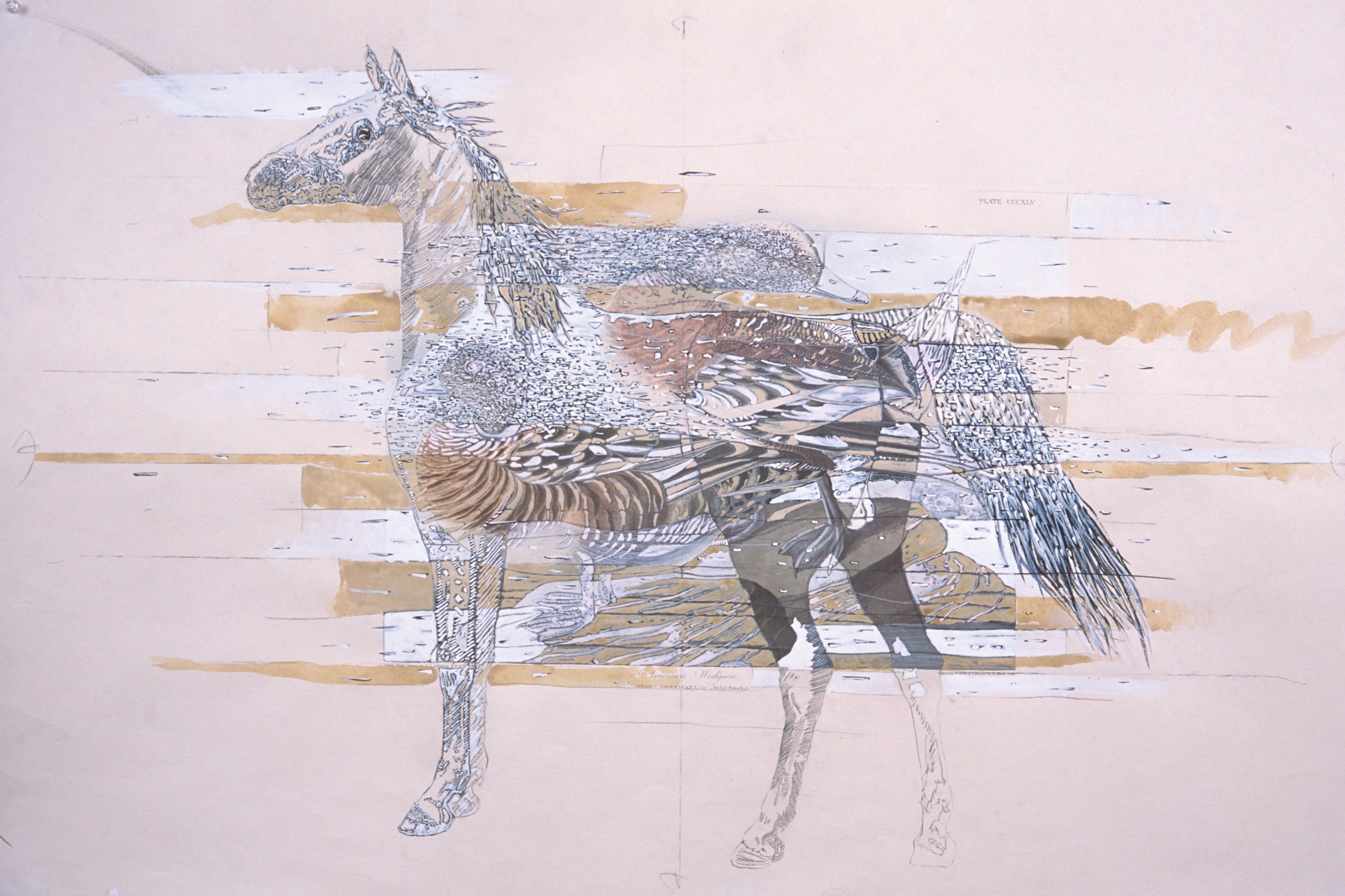 Domesticated Horse 330, 2005, mixed media on paper, 38 x 27 in.