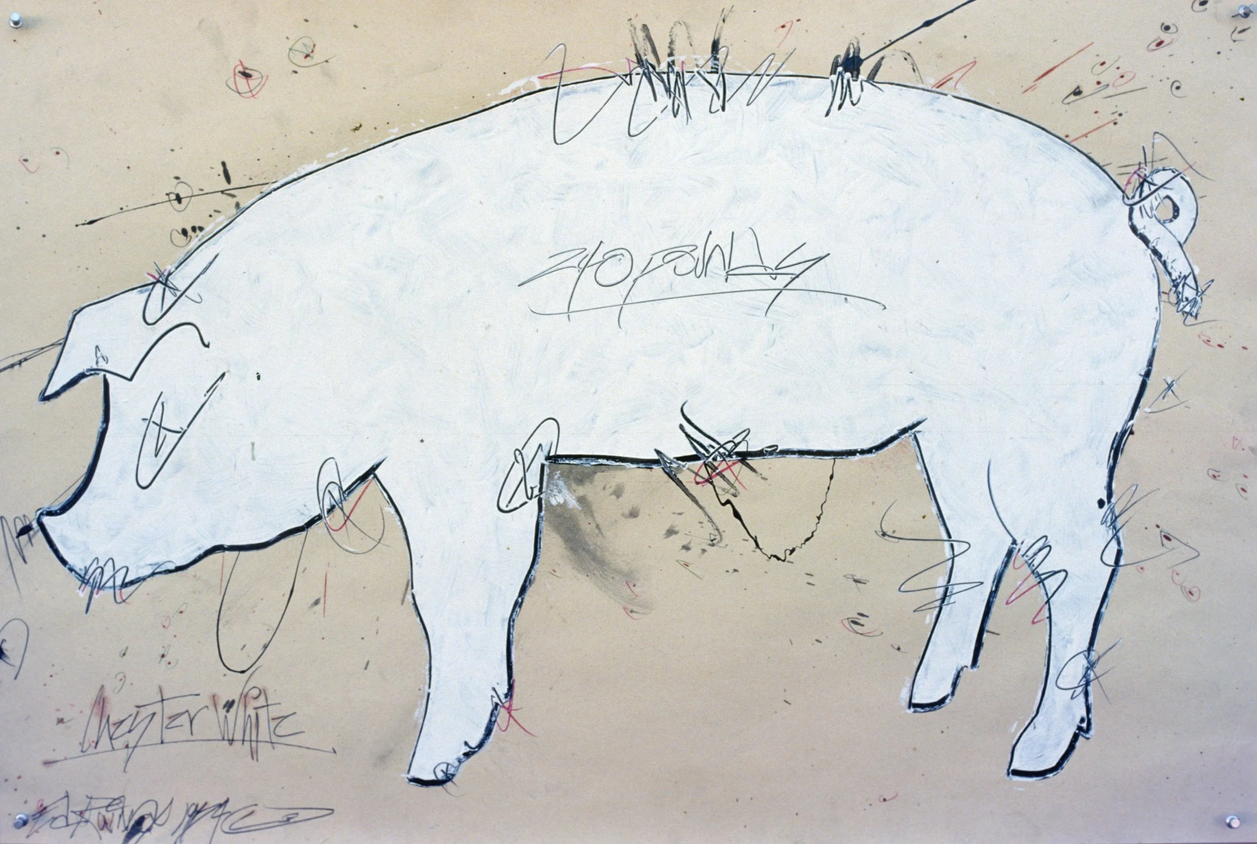 Hog, 1984, mixed media on paper,  36 x 24 in.