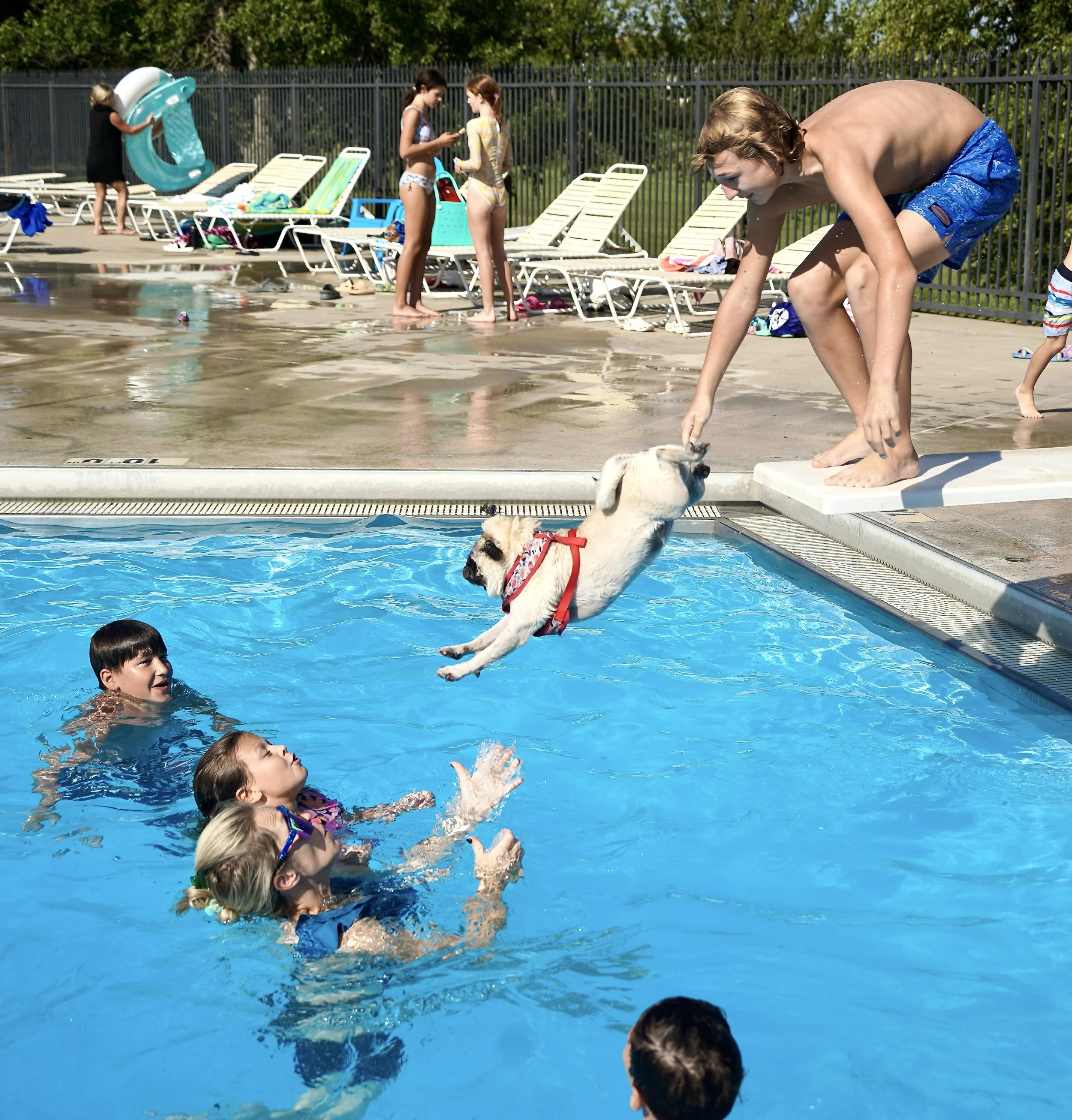 91C74C3D-37B8-406C-855A-90CA02347F3B_1_201_a (1) (1).jpeg